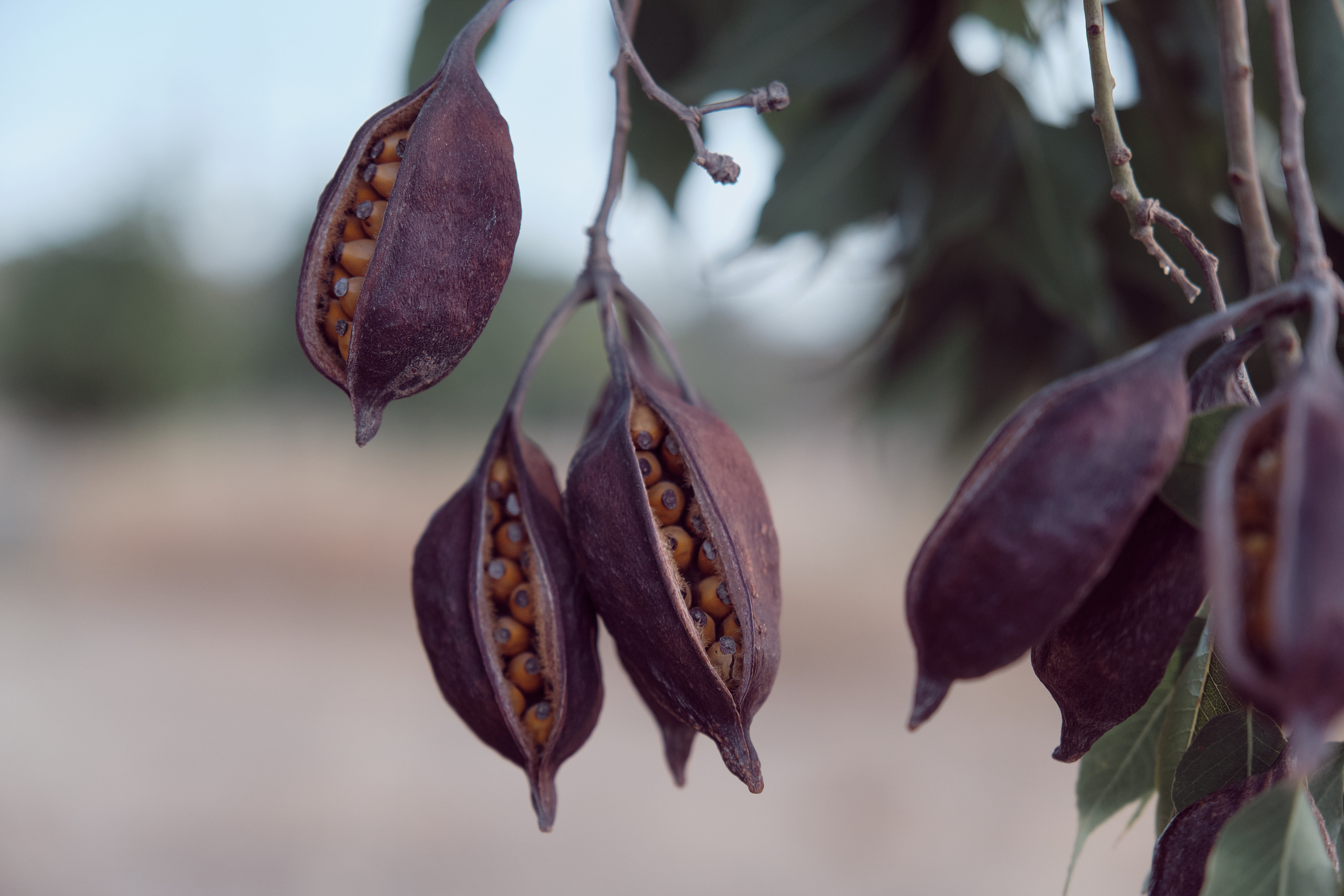 CYPRUS > 2022\1. Aleksandr Kobtsev