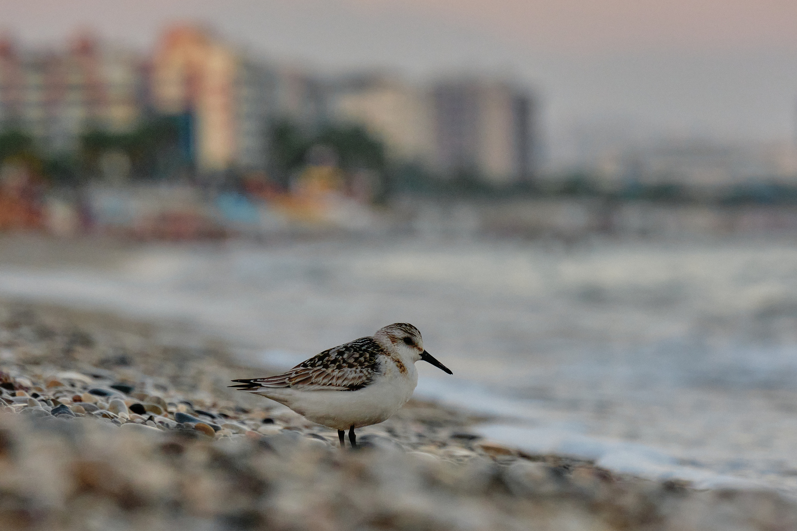 Antalya / Kash / Oludeniz. Aleksandr Kobtsev