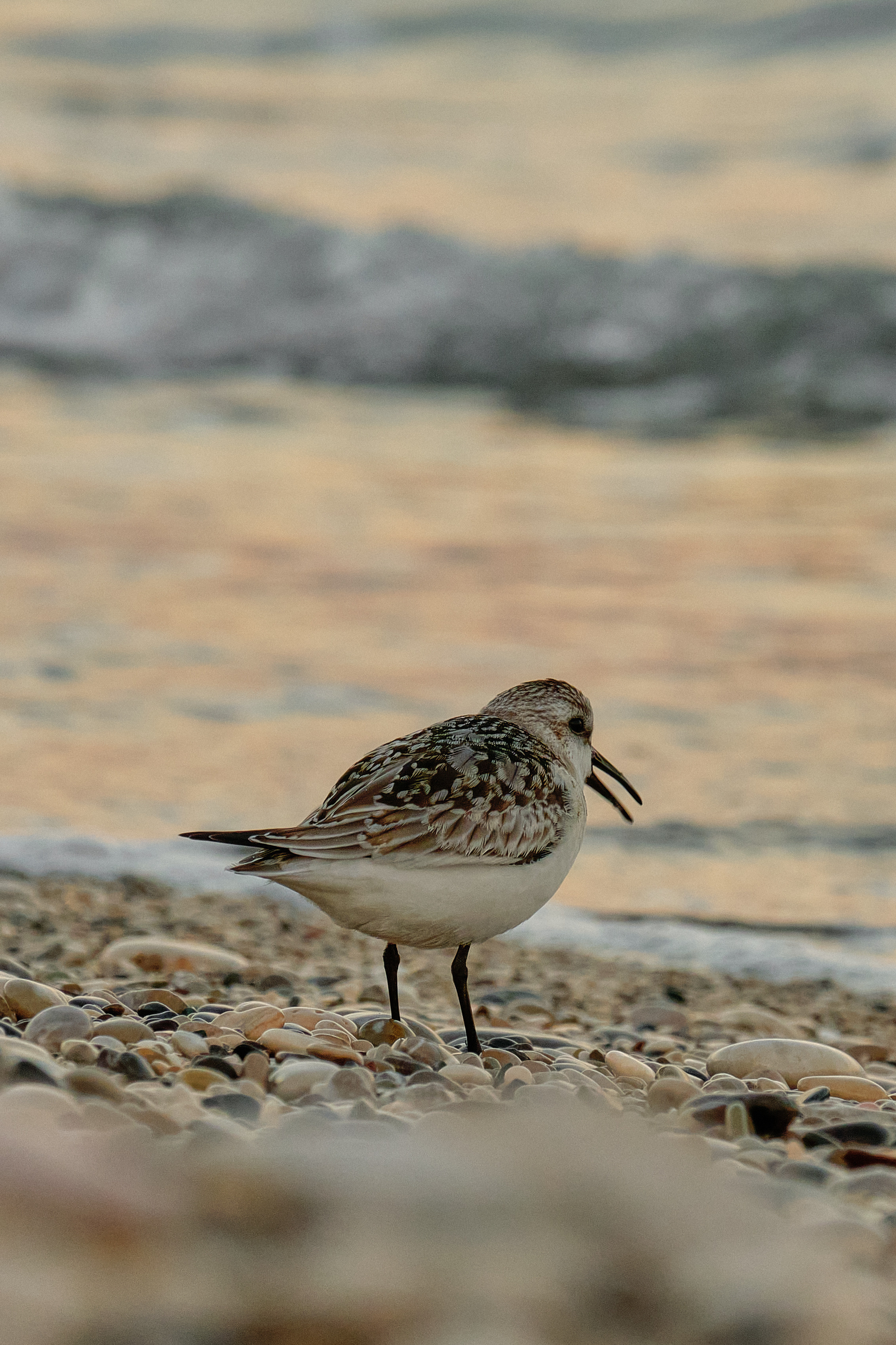 Antalya / Kash / Oludeniz. Aleksandr Kobtsev
