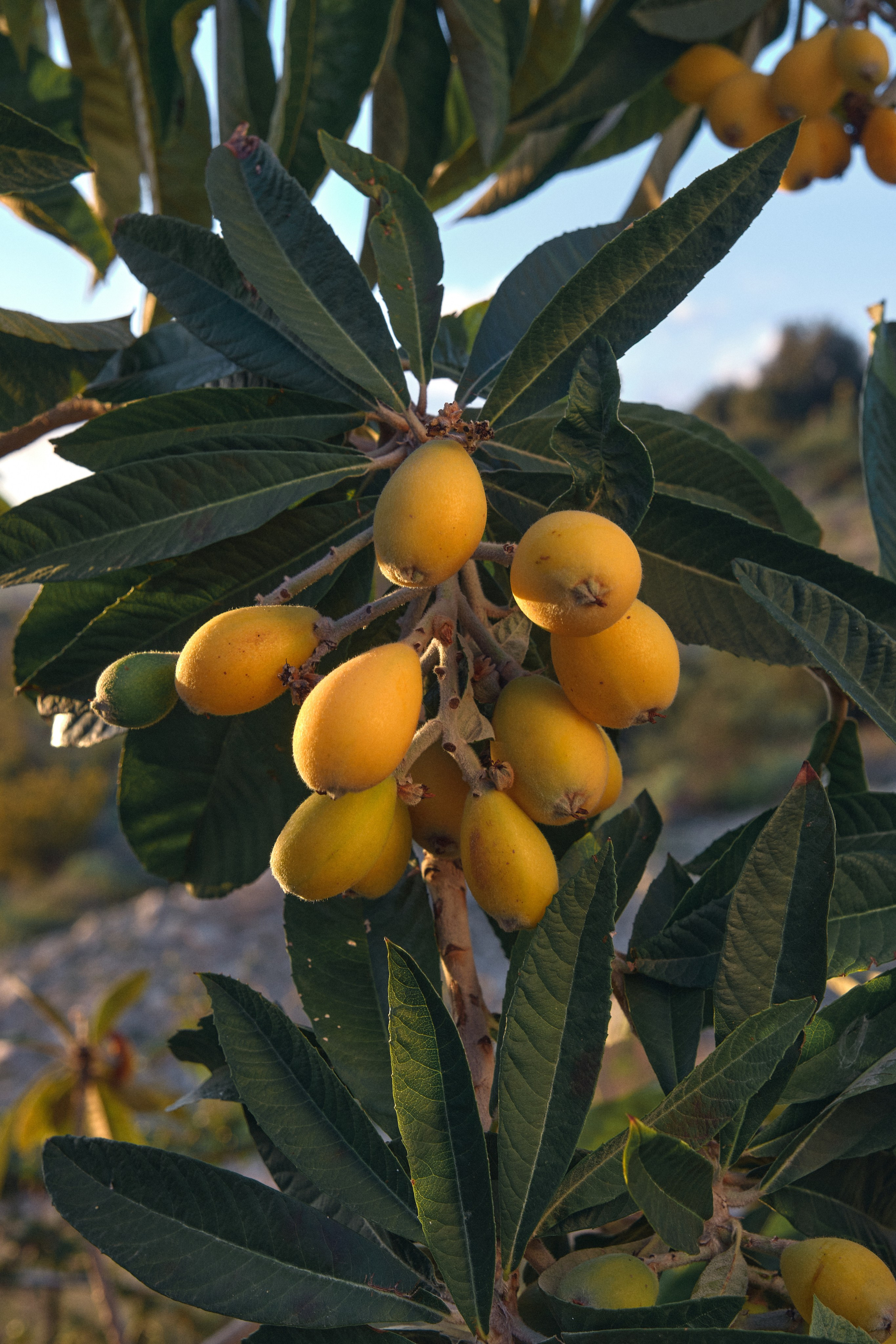 Cyprus 2024 / march. Aleksandr Kobtsev