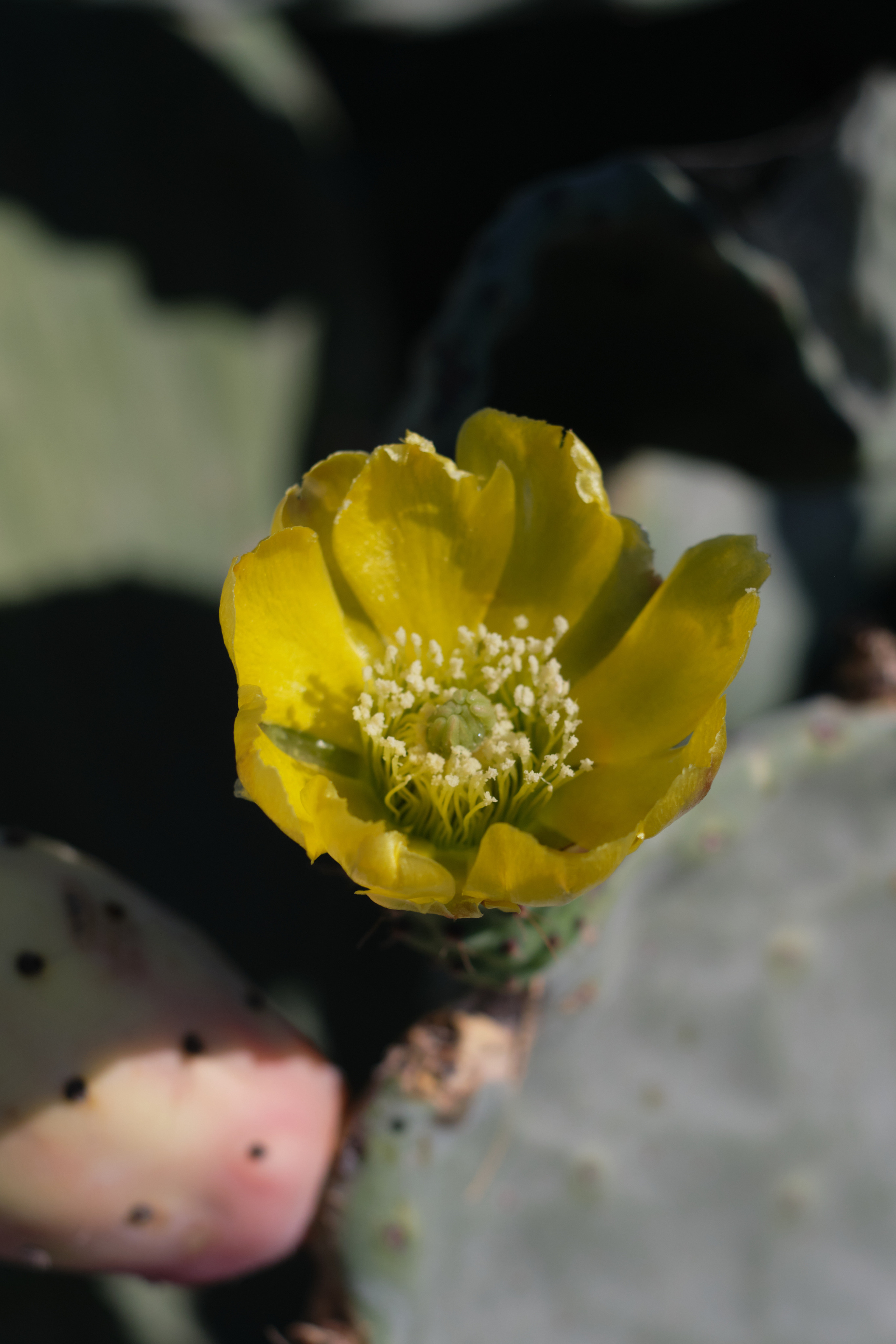 CYPRUS > 2022\1. Aleksandr Kobtsev