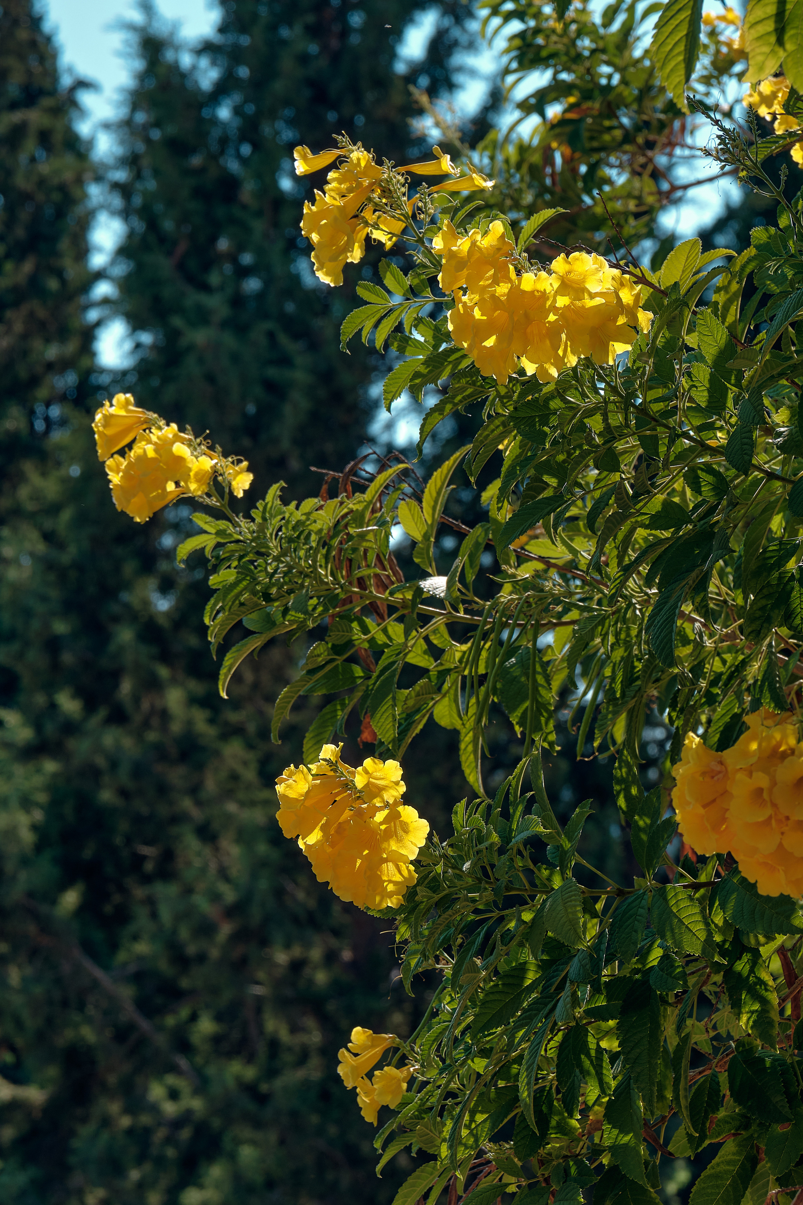 CYPRUS > 2022\1. Aleksandr Kobtsev