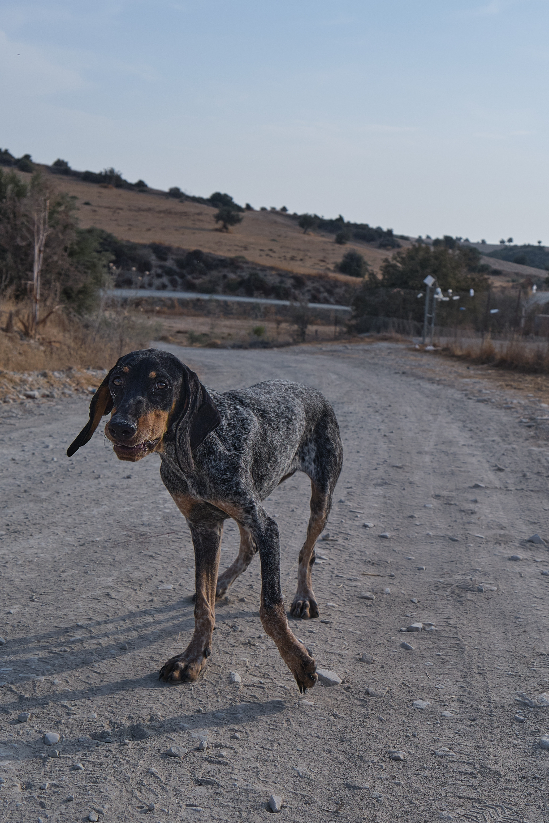 CYPRUS > 2022\1. Aleksandr Kobtsev