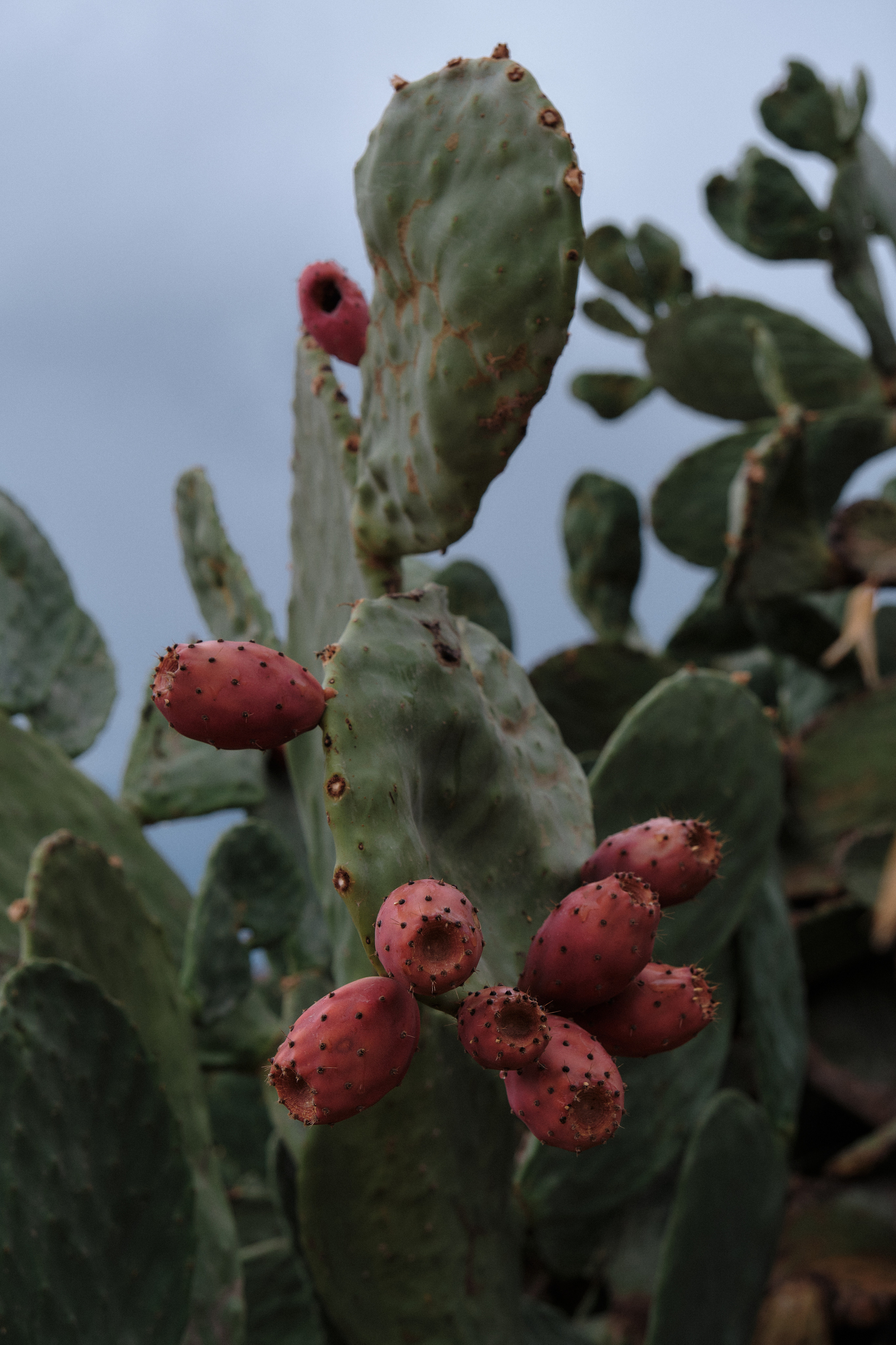 CYPRUS > > 2022\2. Aleksandr Kobtsev