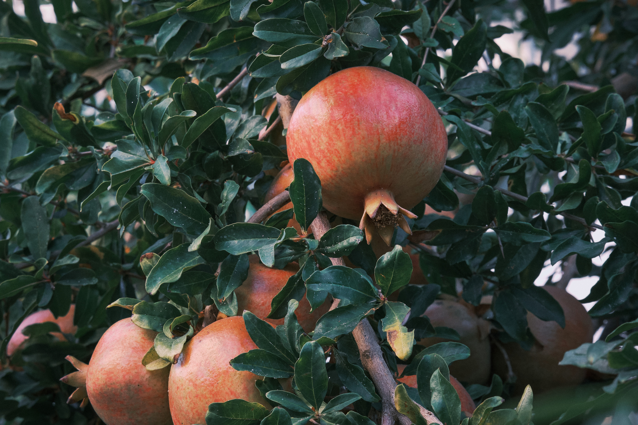 Antalya / Kash / Oludeniz. Aleksandr Kobtsev