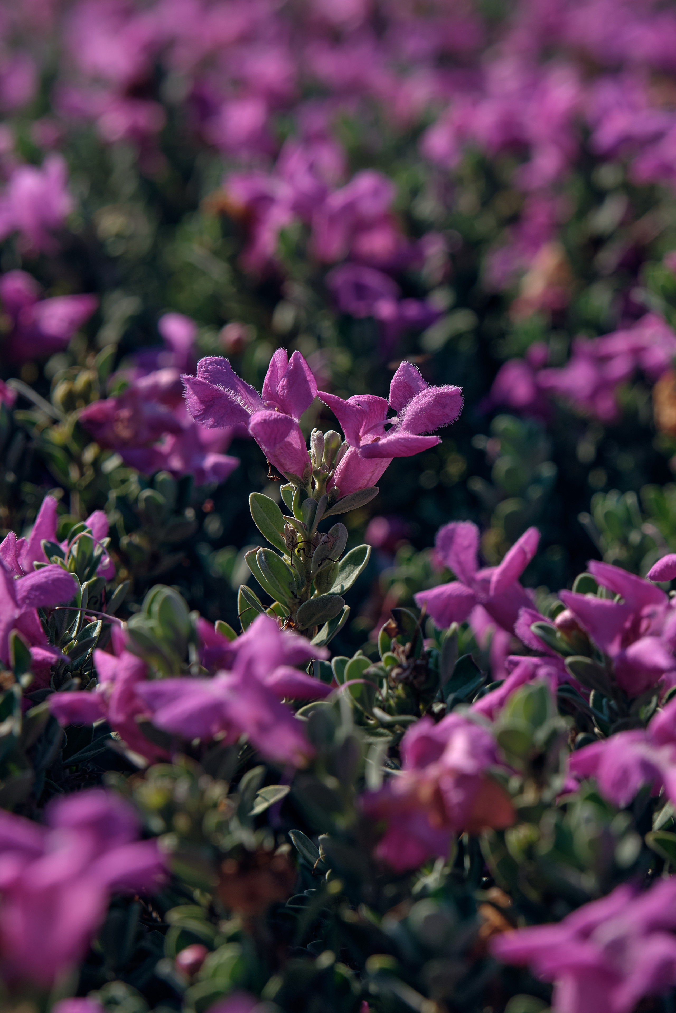 CYPRUS > 2022\1. Aleksandr Kobtsev