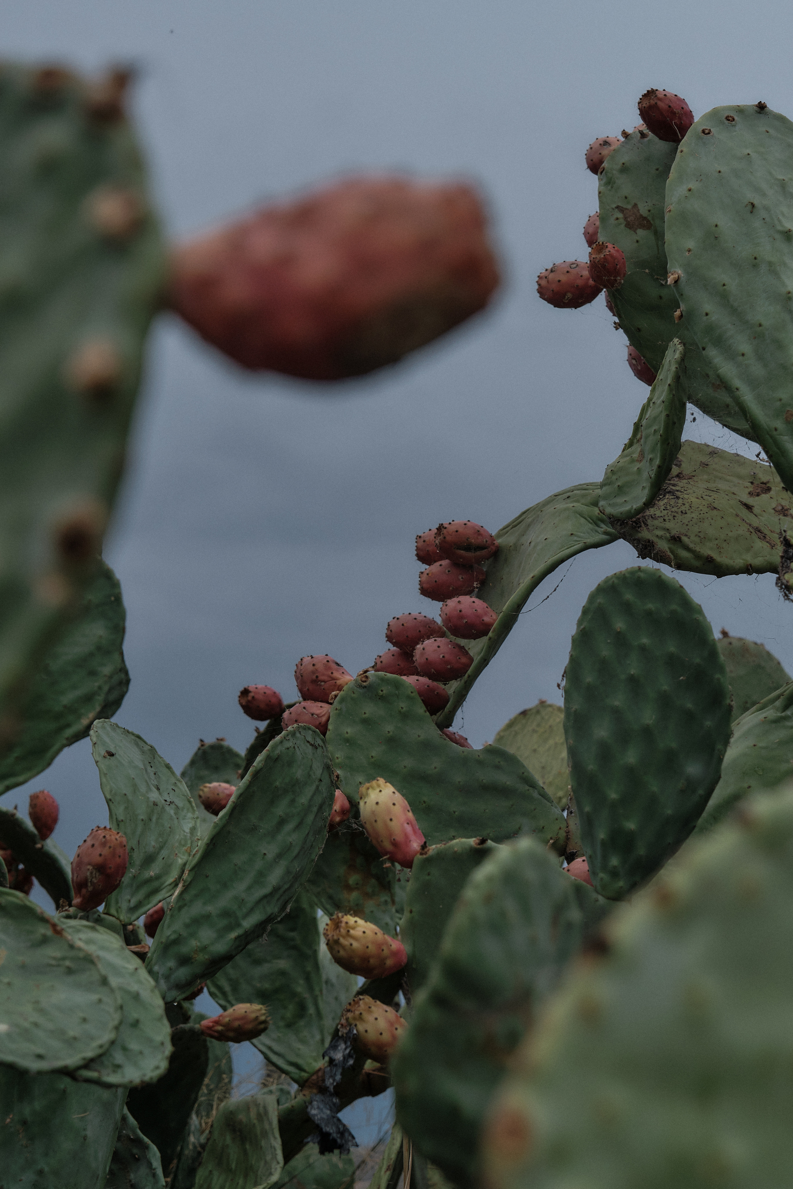Cyprus 2023 / february. Aleksandr Kobtsev