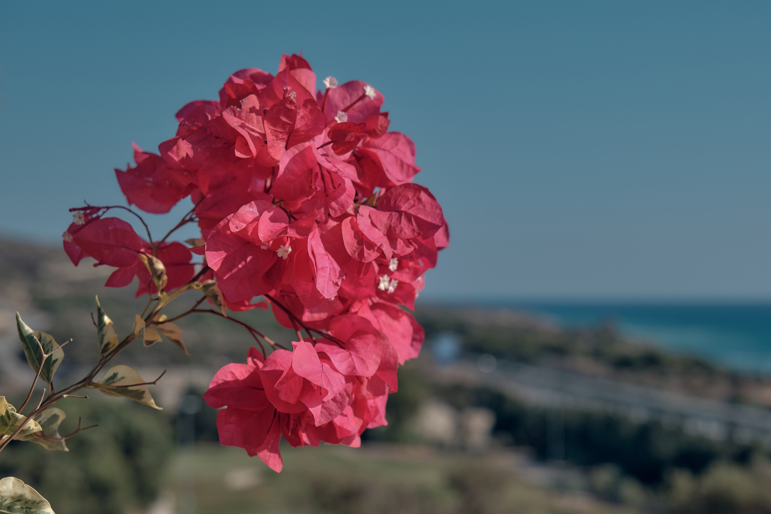 CYPRUS > 2022\1. Aleksandr Kobtsev
