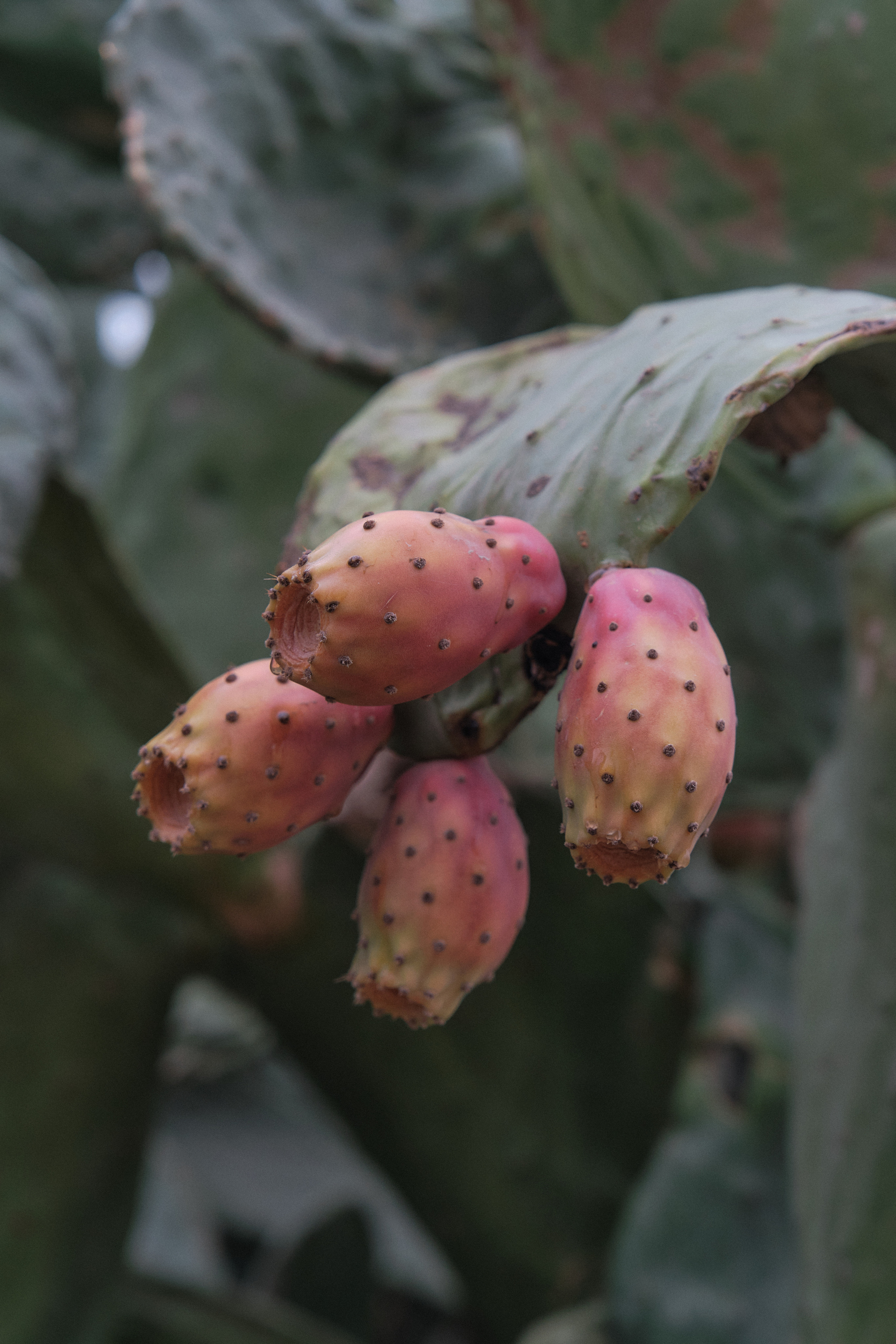 CYPRUS > > 2022\2. Aleksandr Kobtsev