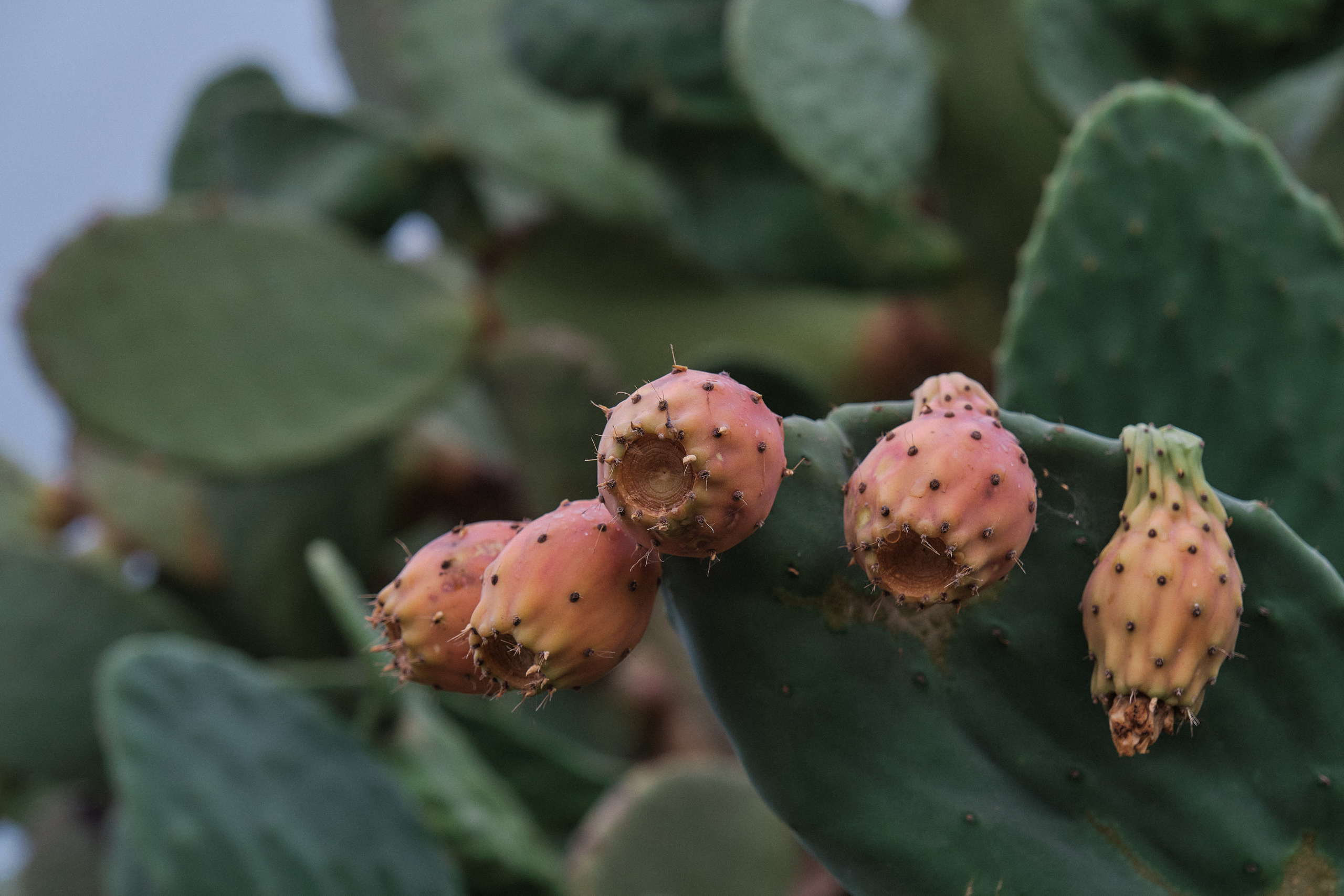 CYPRUS > > 2022\2. Aleksandr Kobtsev