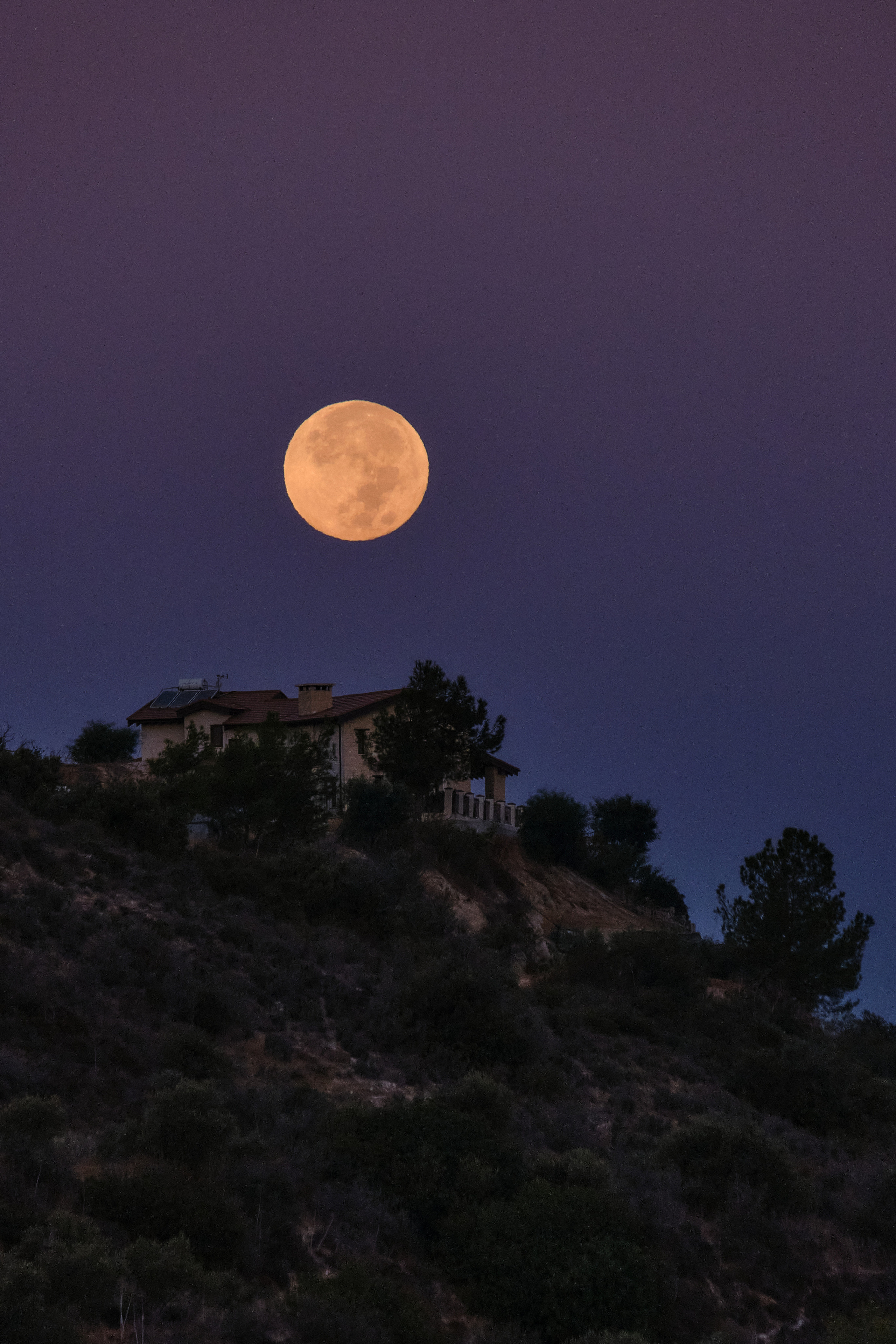 CYPRUS > 2022\1. Aleksandr Kobtsev