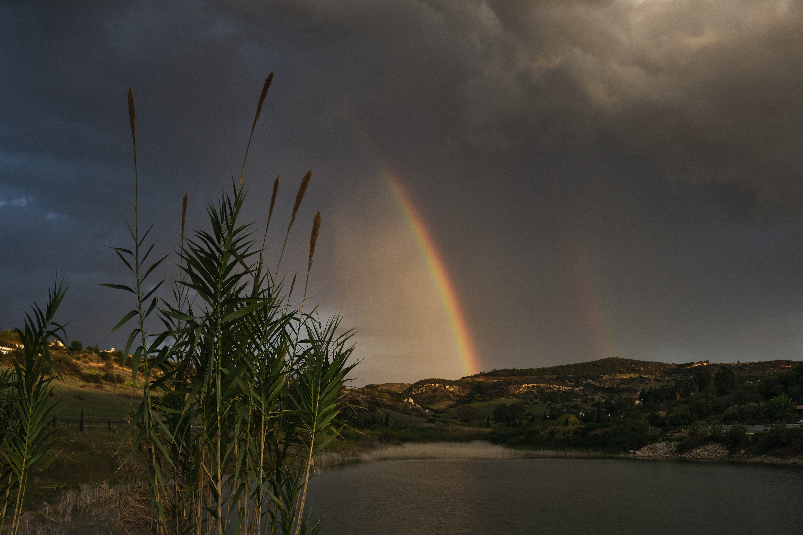 CYPRUS> > > > 2022\4. Aleksandr Kobtsev