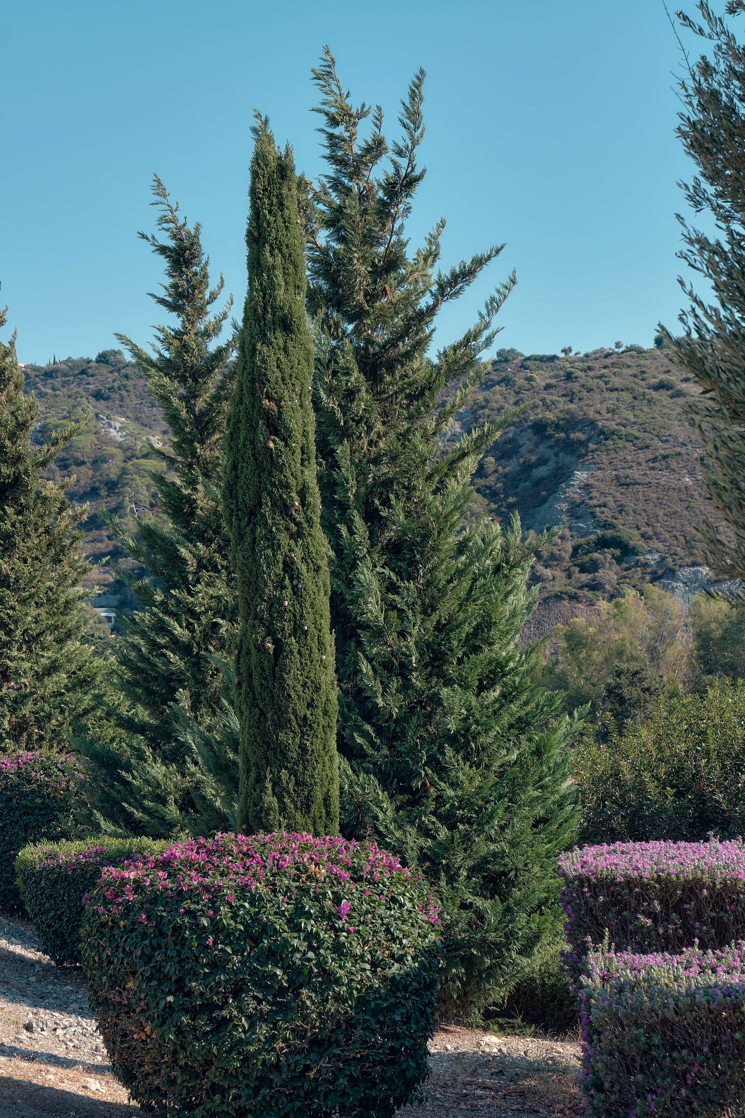 CYPRUS > 2022\1. Aleksandr Kobtsev