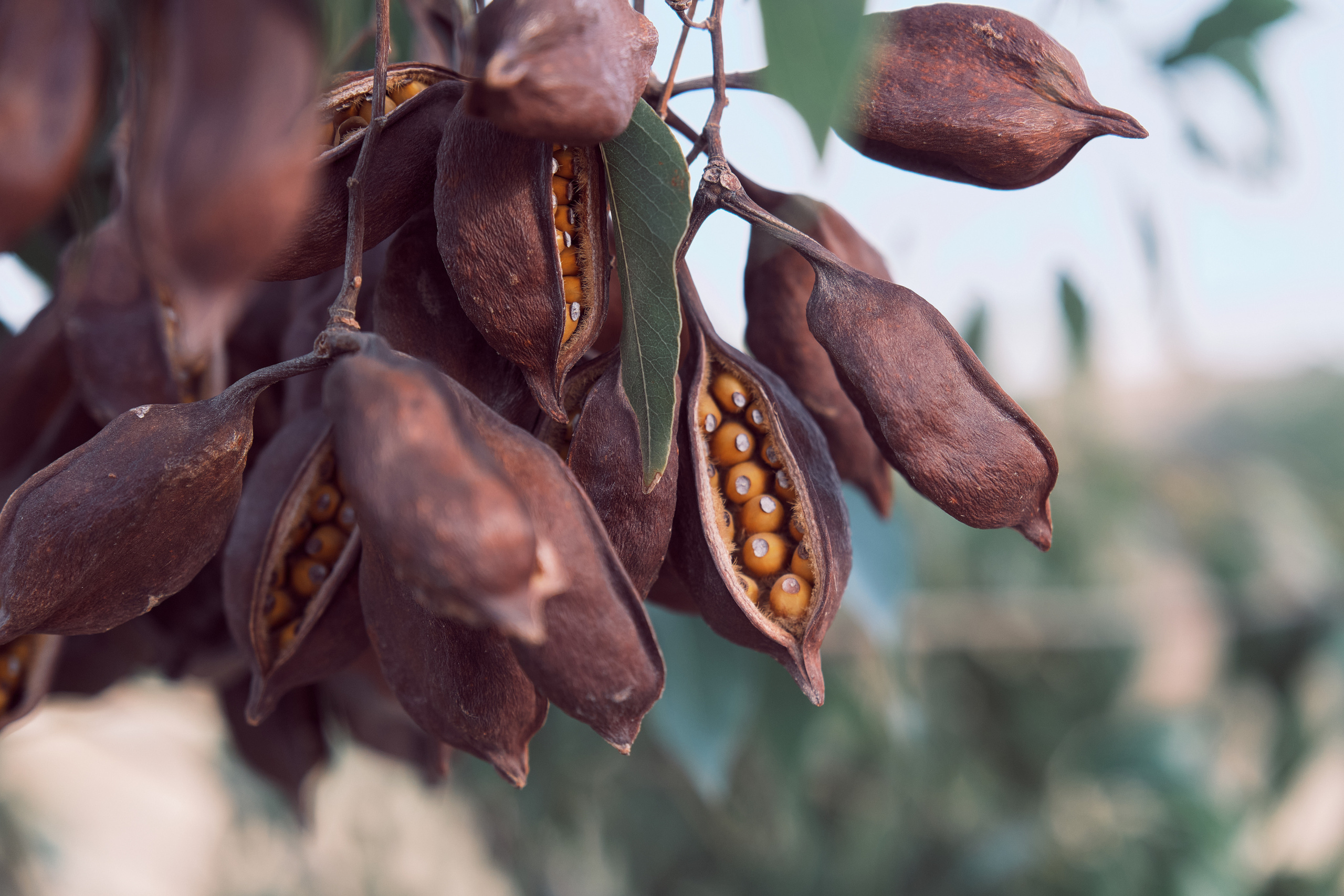 CYPRUS > 2022\1. Aleksandr Kobtsev