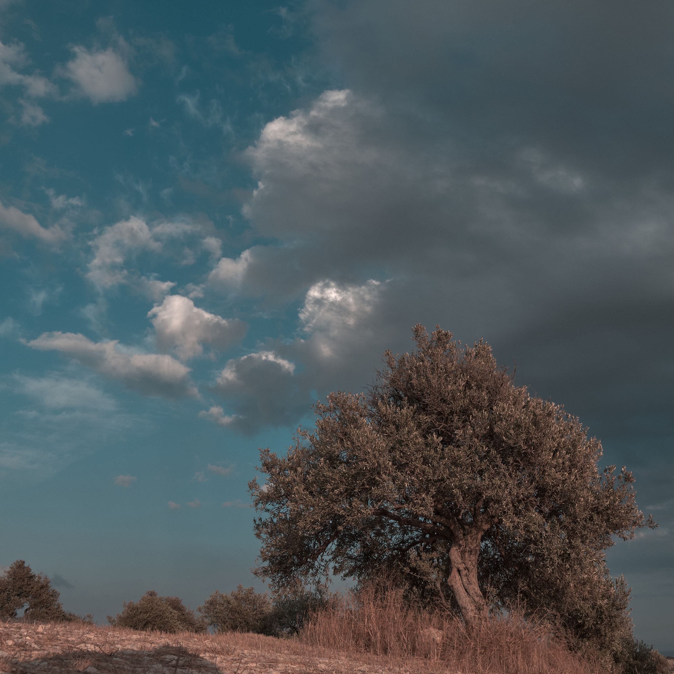 CYPRUS > 2022\1. Aleksandr Kobtsev