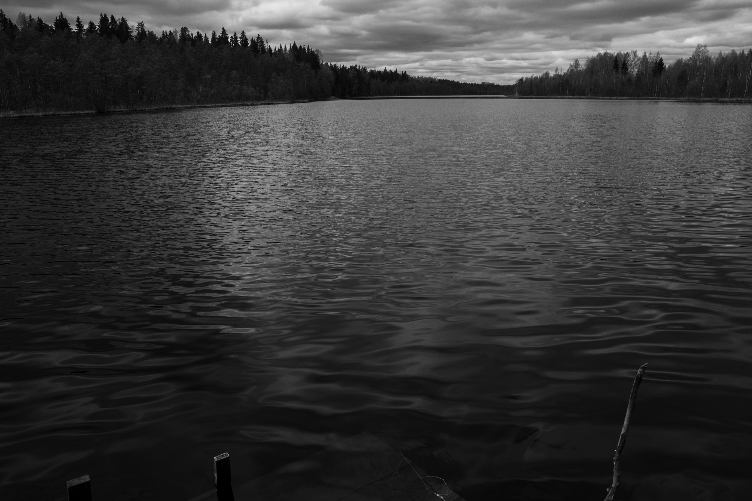 Хранитель лесов. Портретная фотосъёмка, репортажная, контент для вашего бизнеса