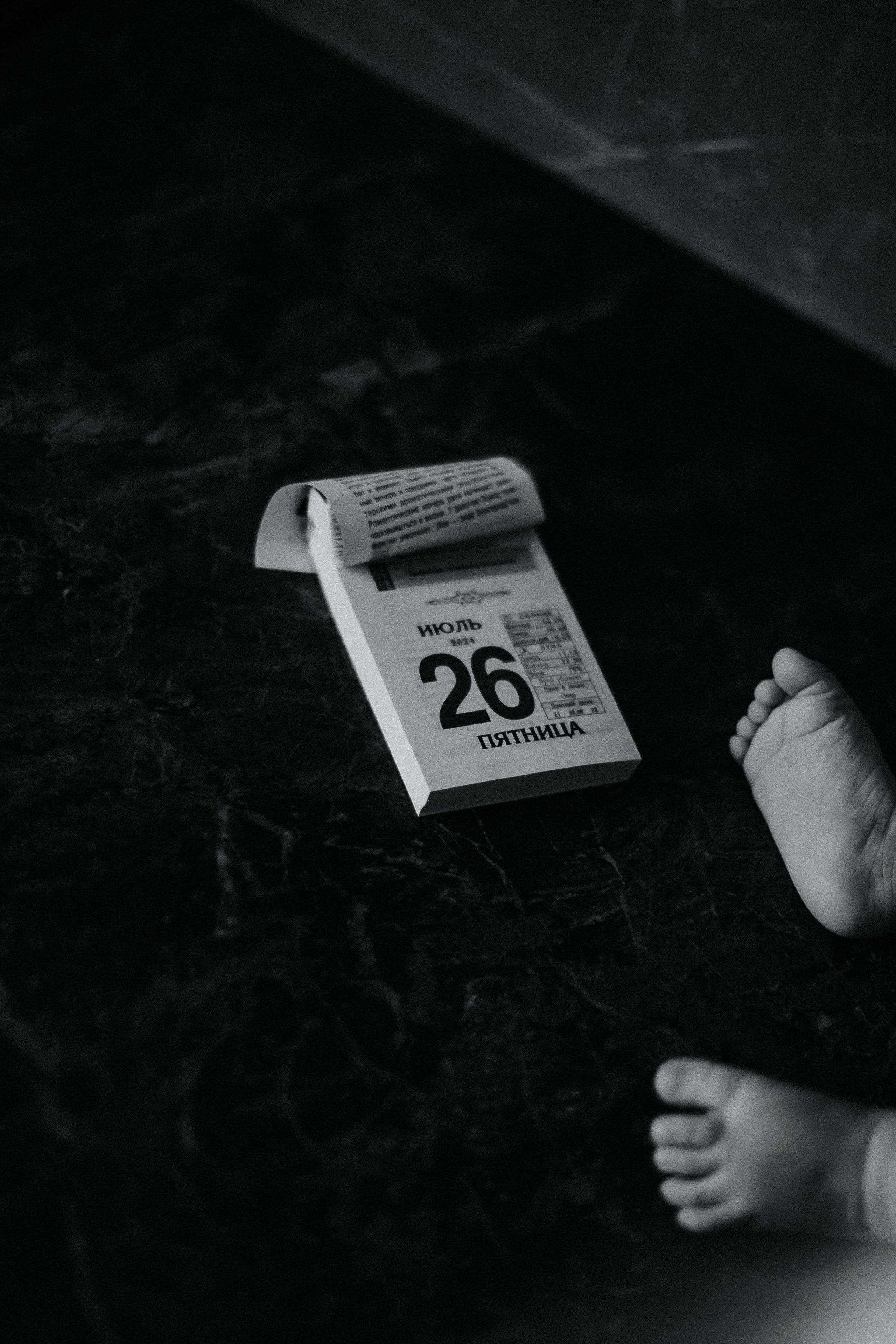 Лена и Верочка. Семейный и свадебный фотограф в Челябинске Юлия Софьина