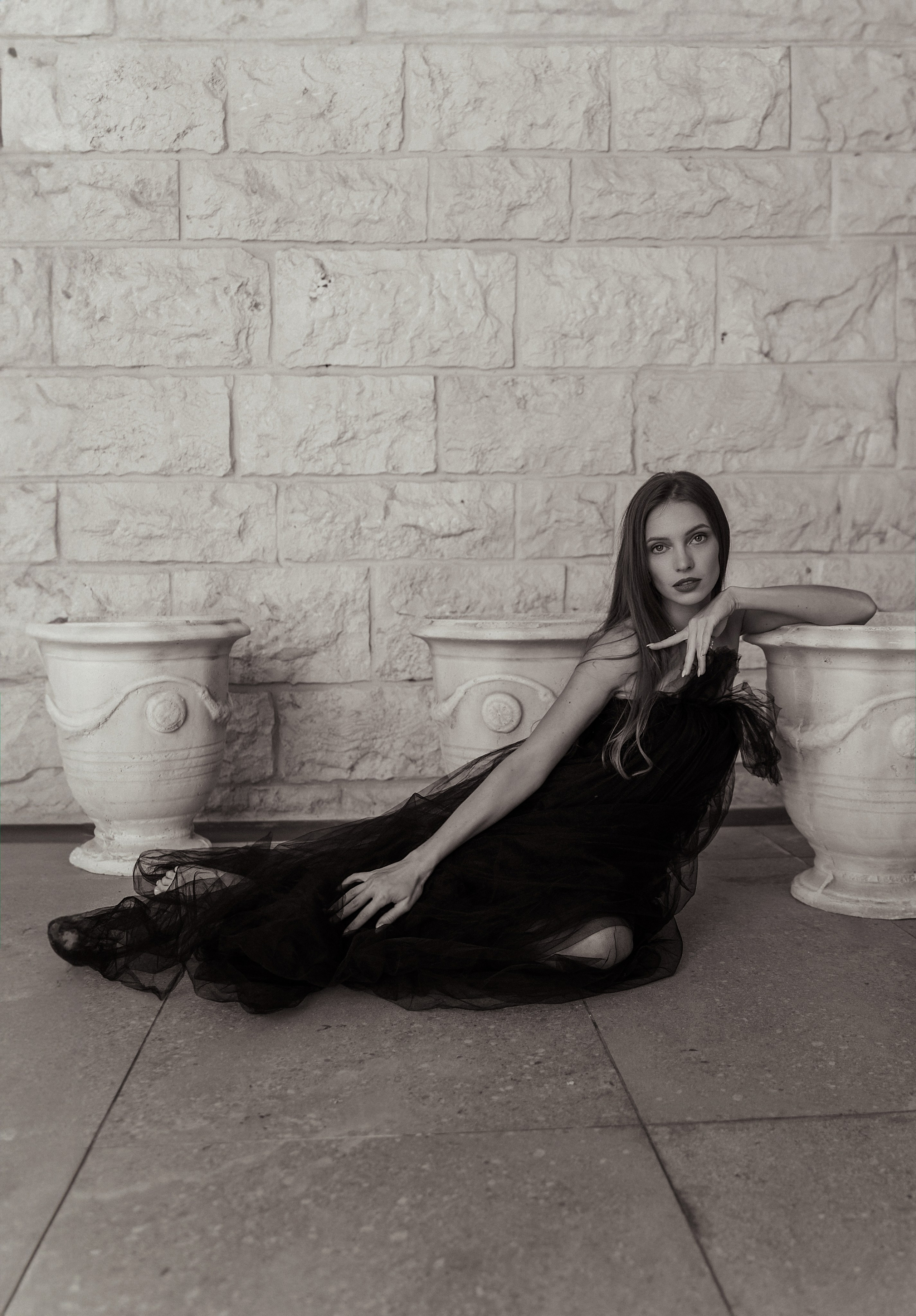 Черный лебедь. Фотограф Тимофеева Любовь