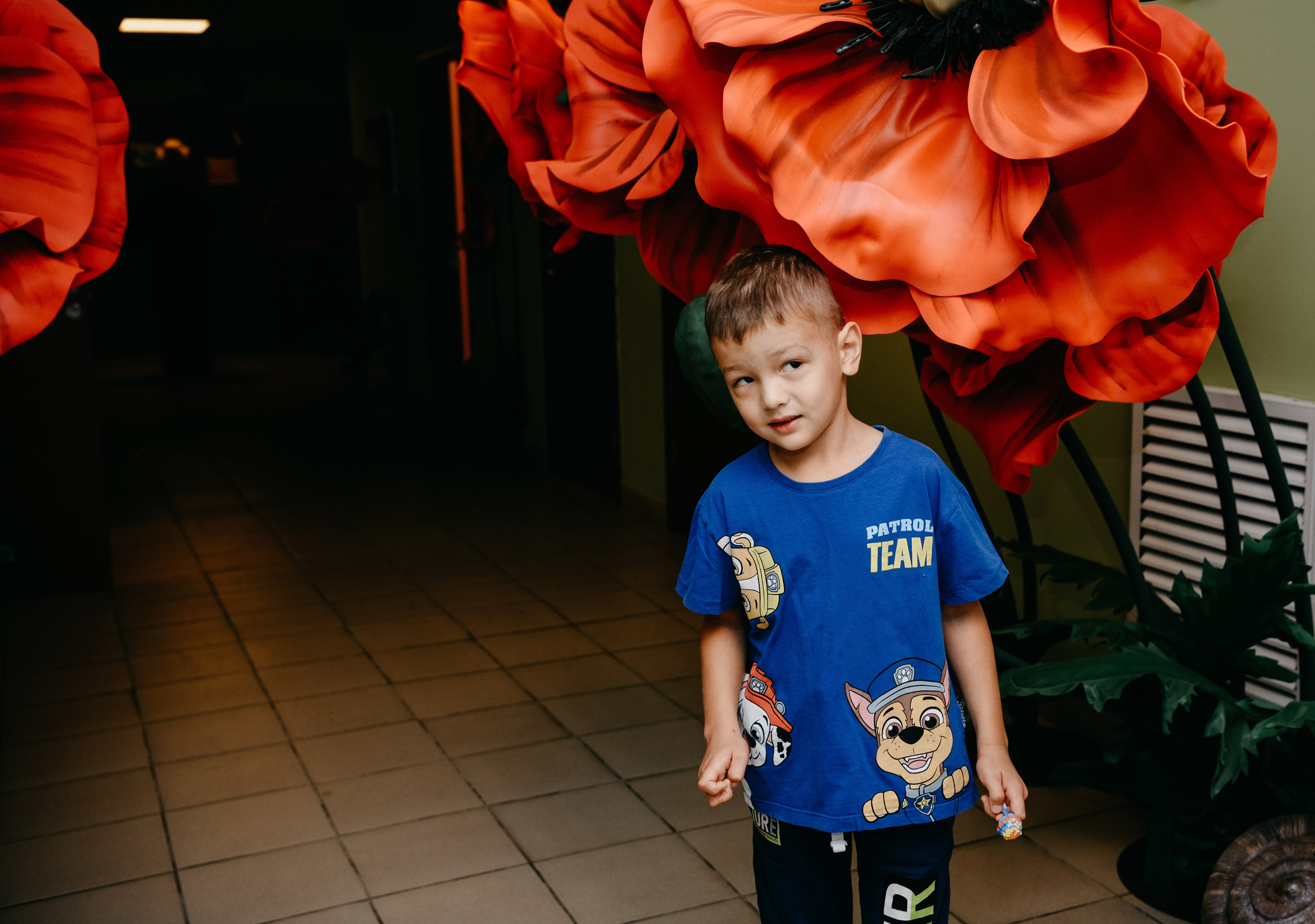 Волшебная страна. Фотограф на выписку из роддома в Москве и МО