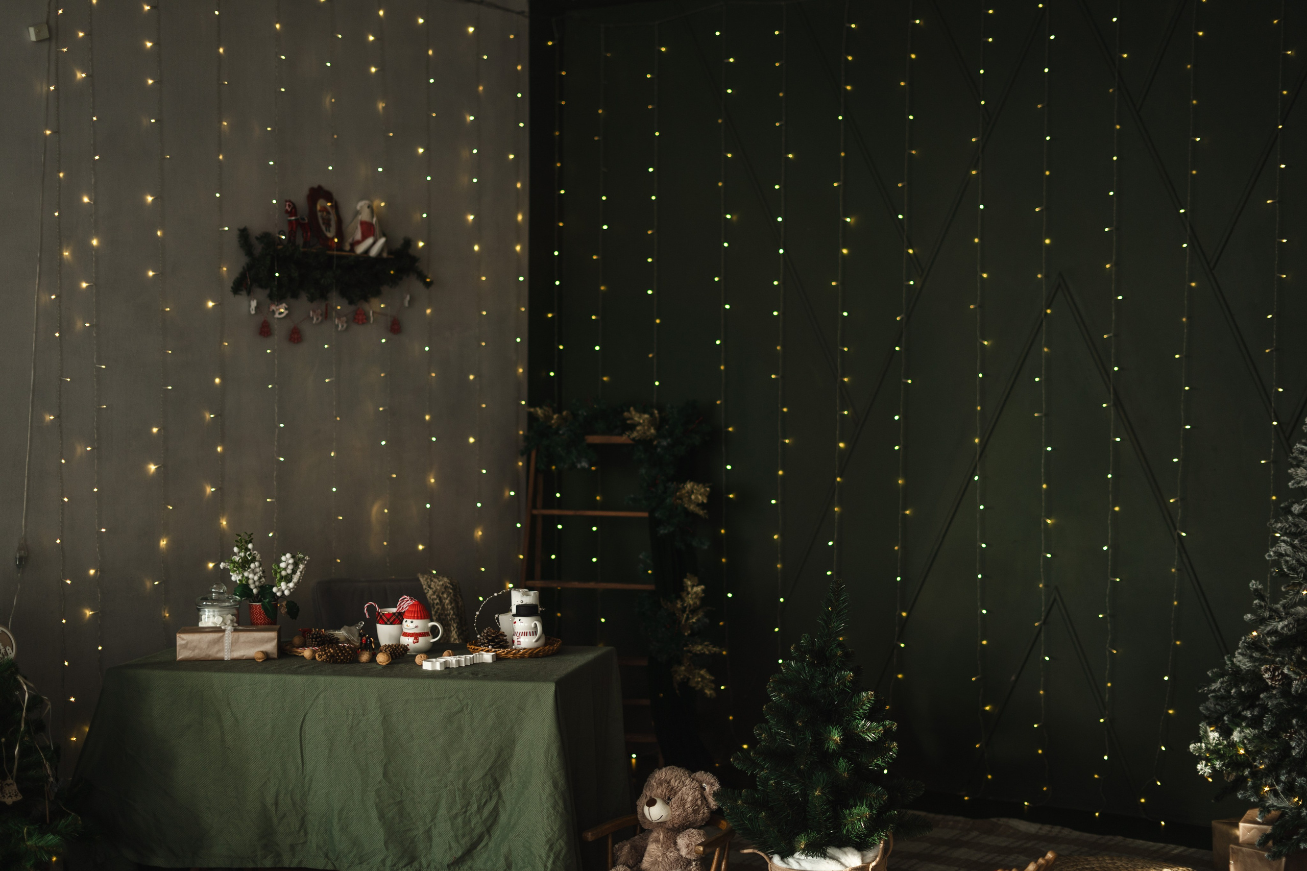 Фотостудия "Импульс" Саратов новогодняя фотосессия