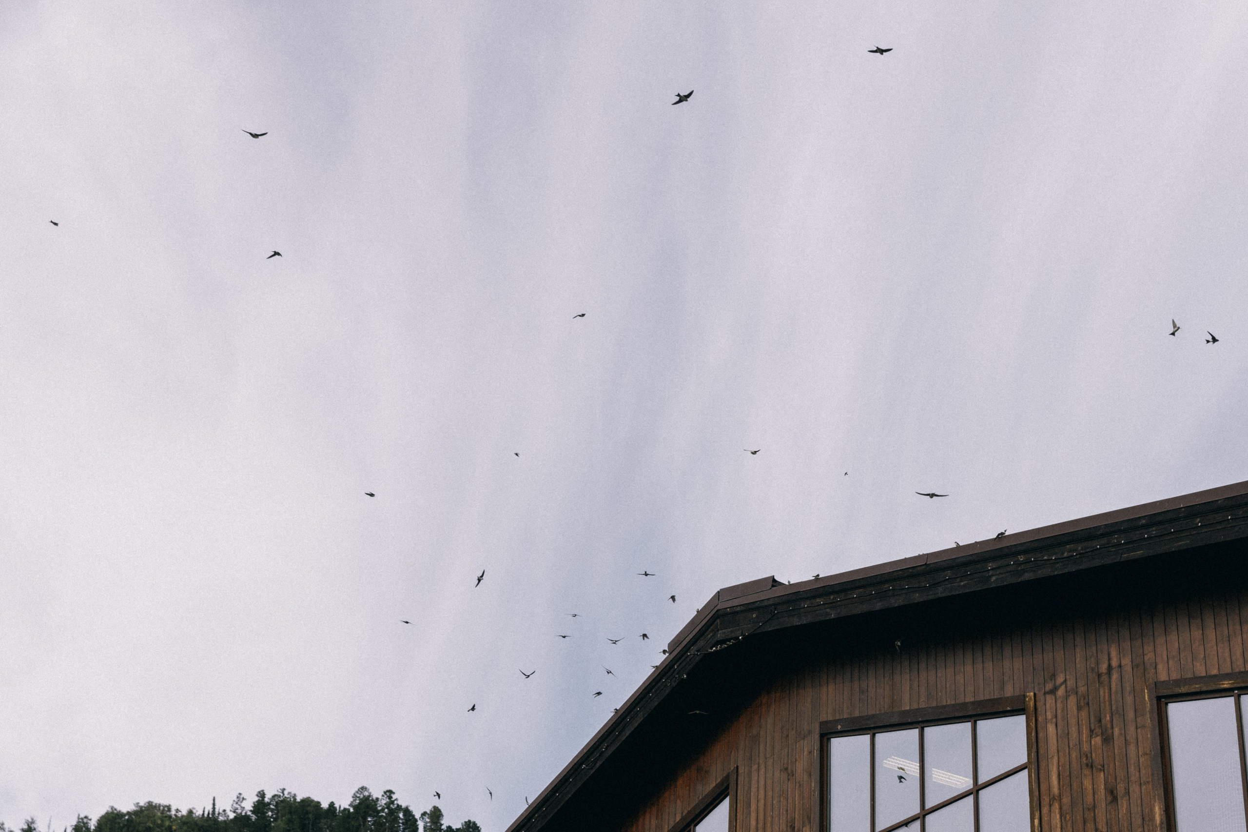 Алтай, природа и эстетика. Александр Чернин. Семейный и событийный фотограф