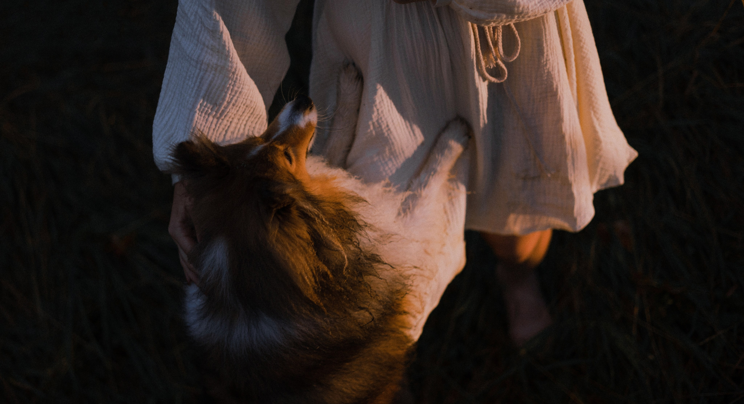 Аня и Скай. Фотограф-анималист Богданова Полина