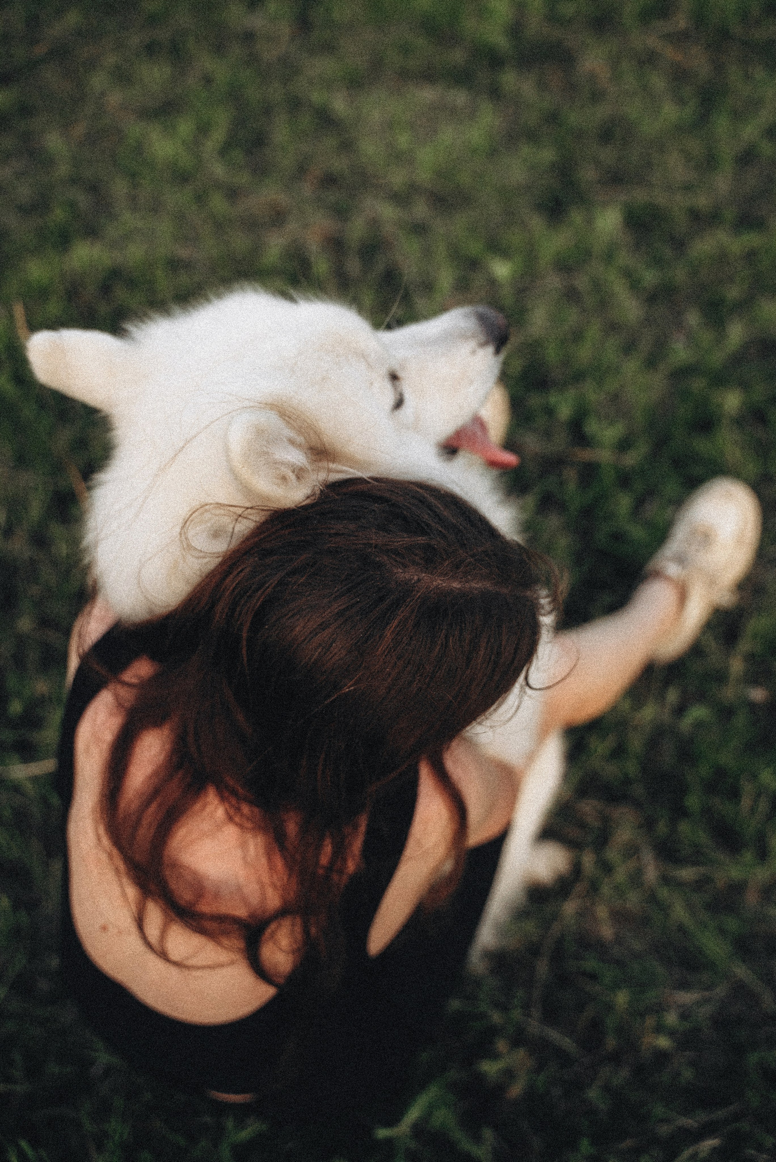 Алёна и Челси. Фотограф-анималист Богданова Полина