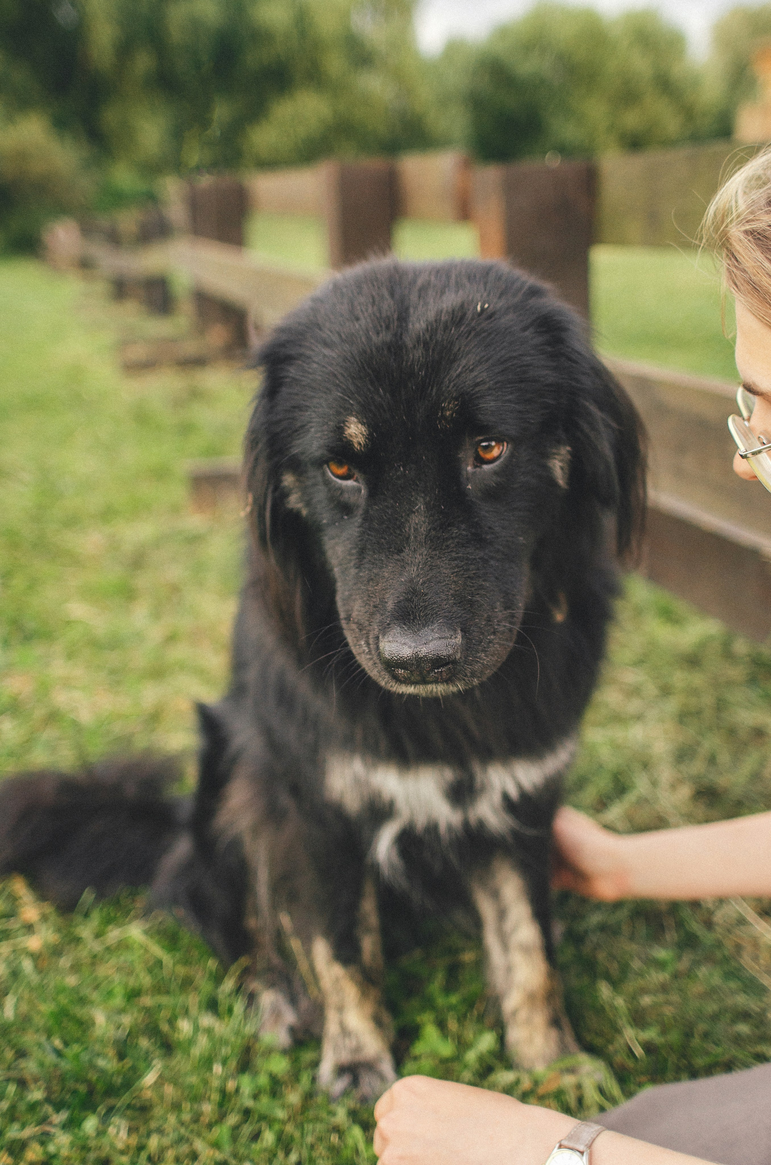 Анна и Марко. Фотограф-анималист Богданова Полина