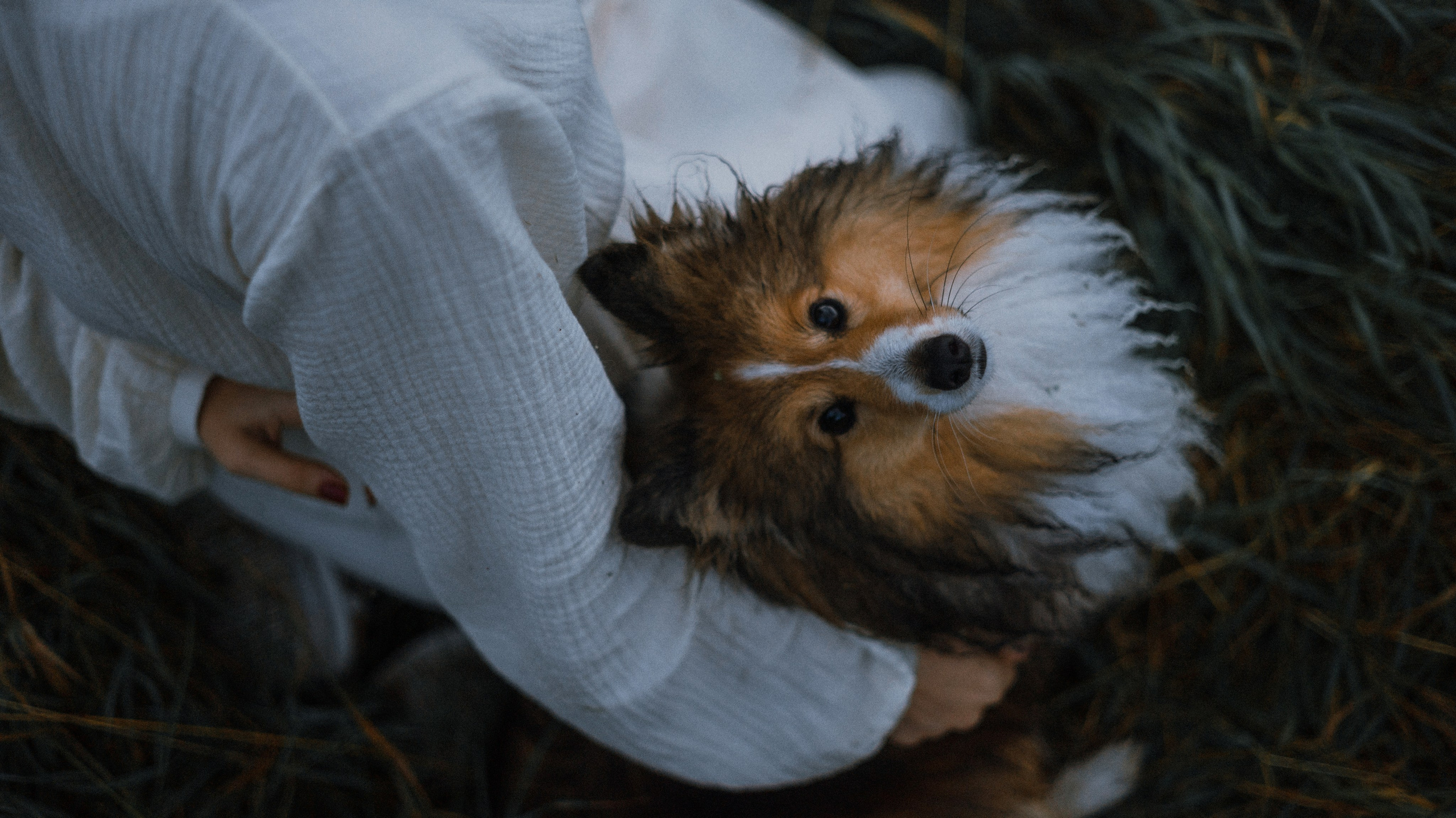 Аня и Скай. Фотограф-анималист Богданова Полина
