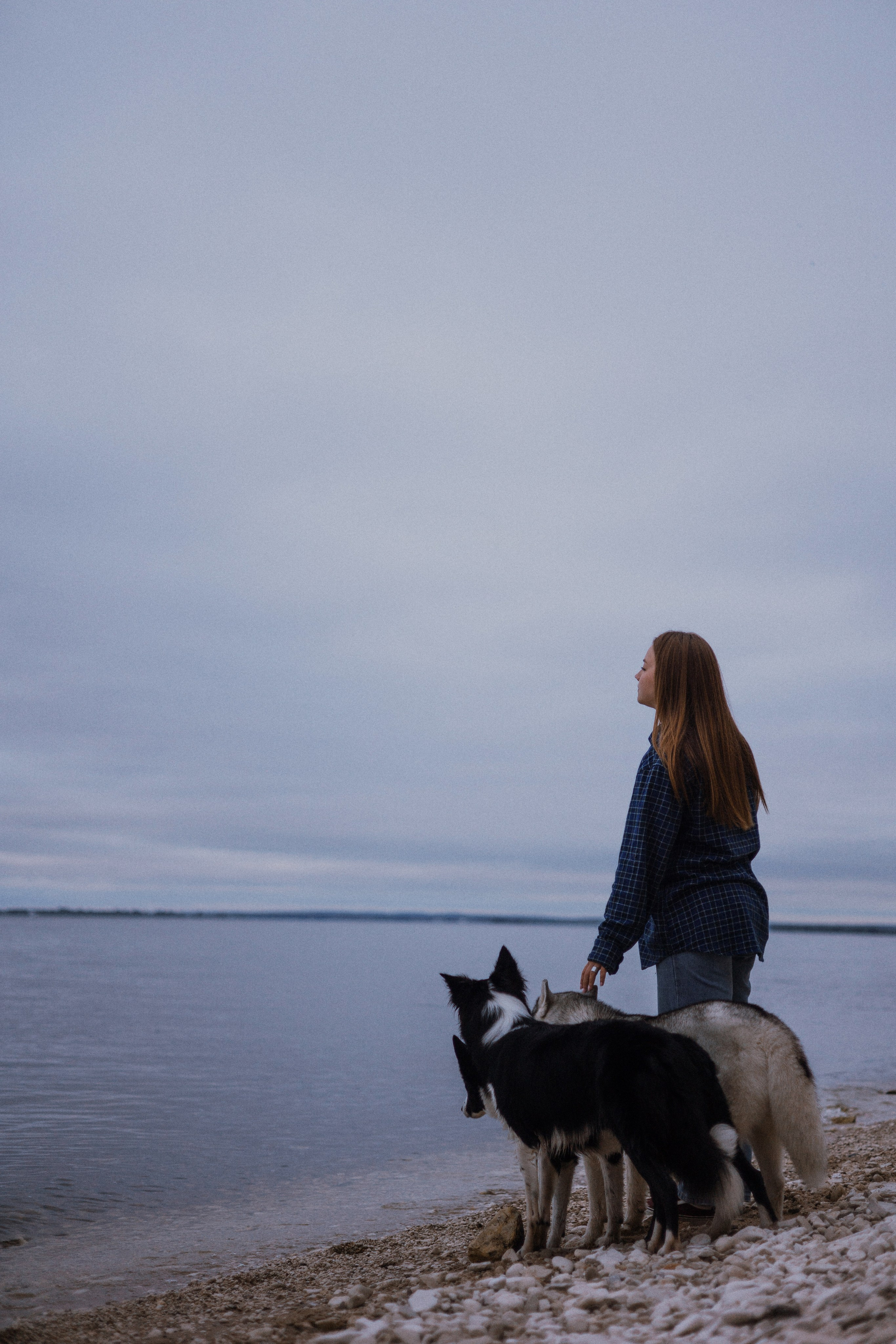Аделя, Вандер, Шайна и Бая. Фотограф-анималист Богданова Полина