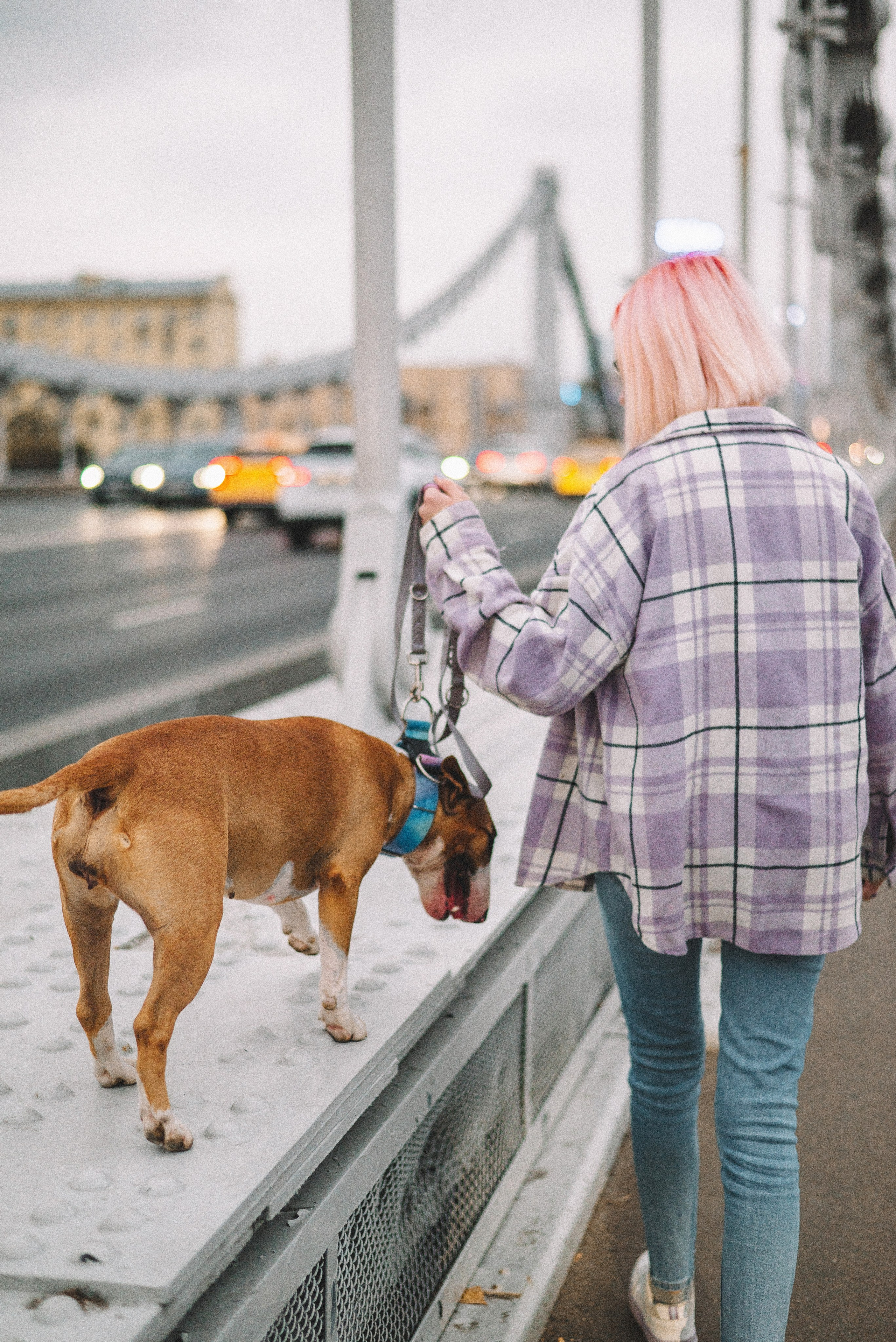 Маша и Рулька. Фотограф-анималист Богданова Полина