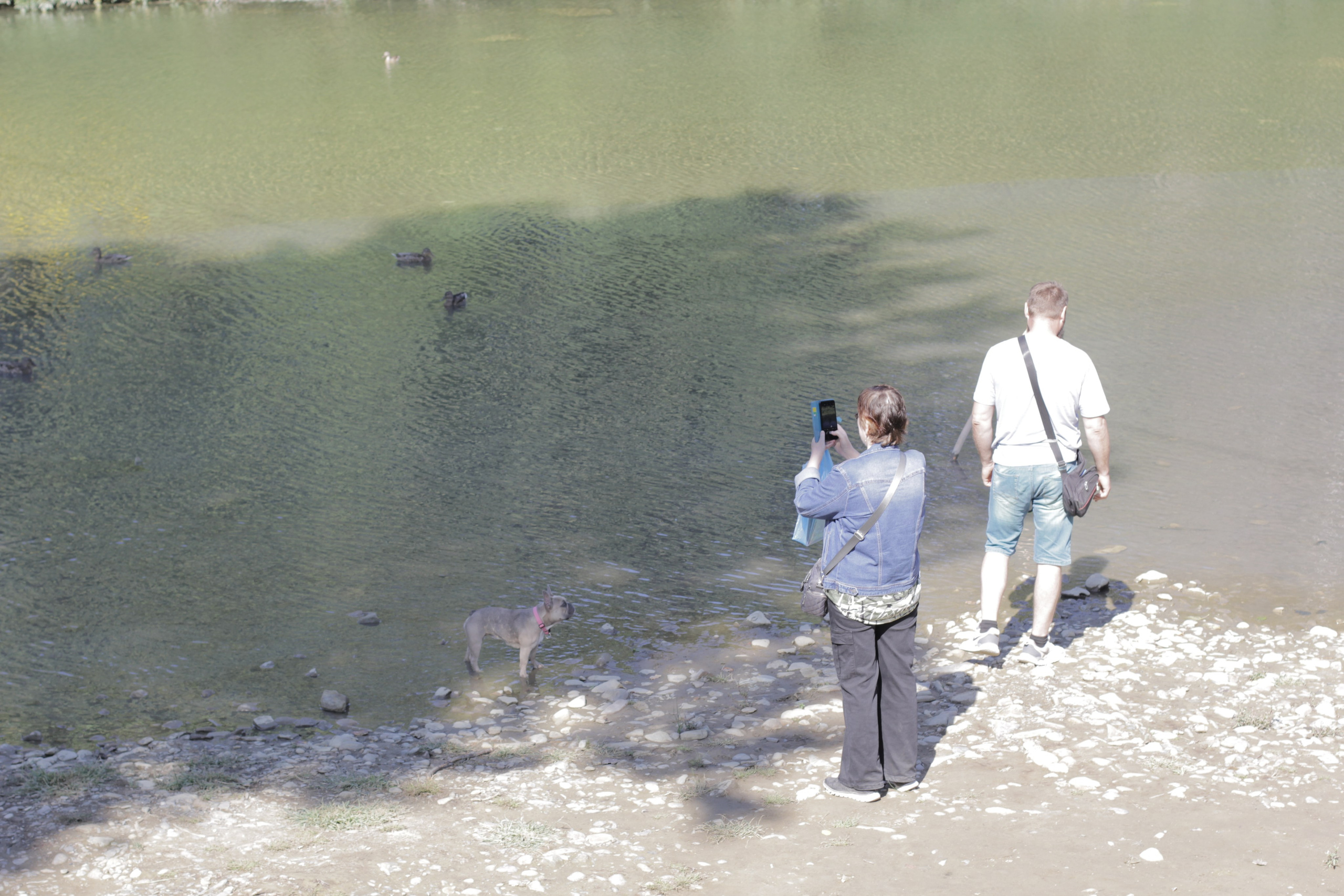 Горячий Ключ (2024-09-22). Собор Отрасли