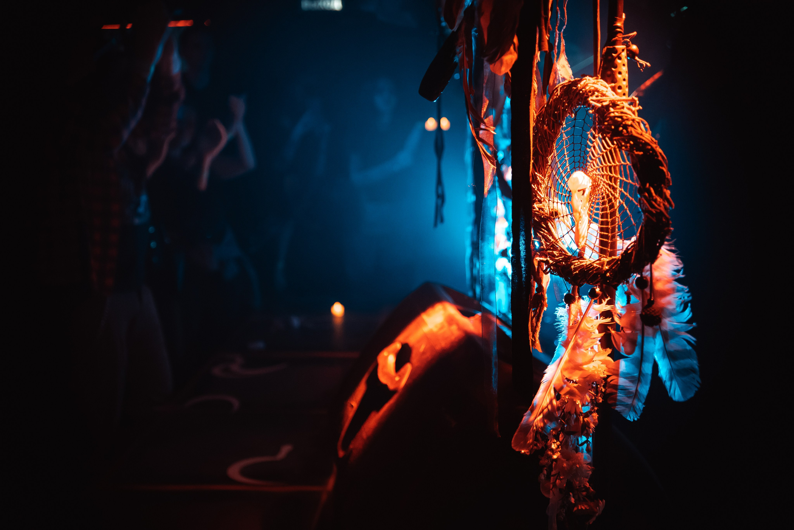 Мещера, Эрмитаж, 22.02.2026. Фотограф Регина Крикунова г. Красноярск