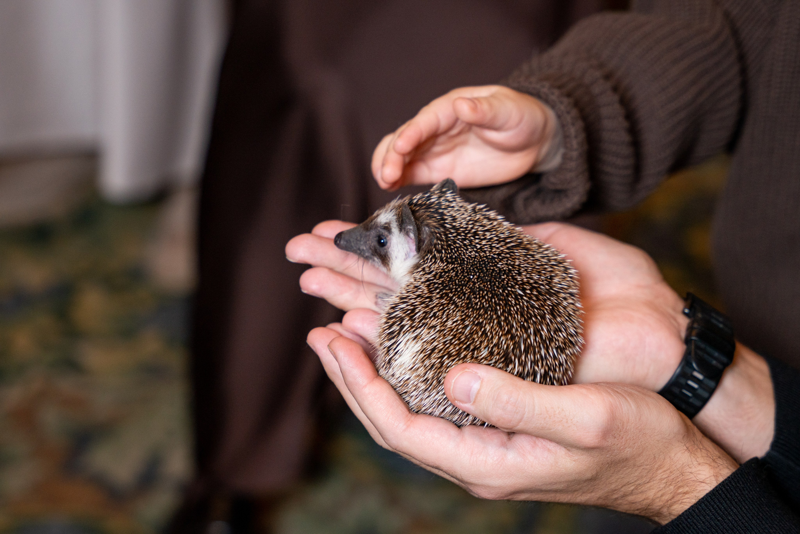 ДЕТСКИЕ ЕЛКИ 2025. Фотограф на любое мероприятие