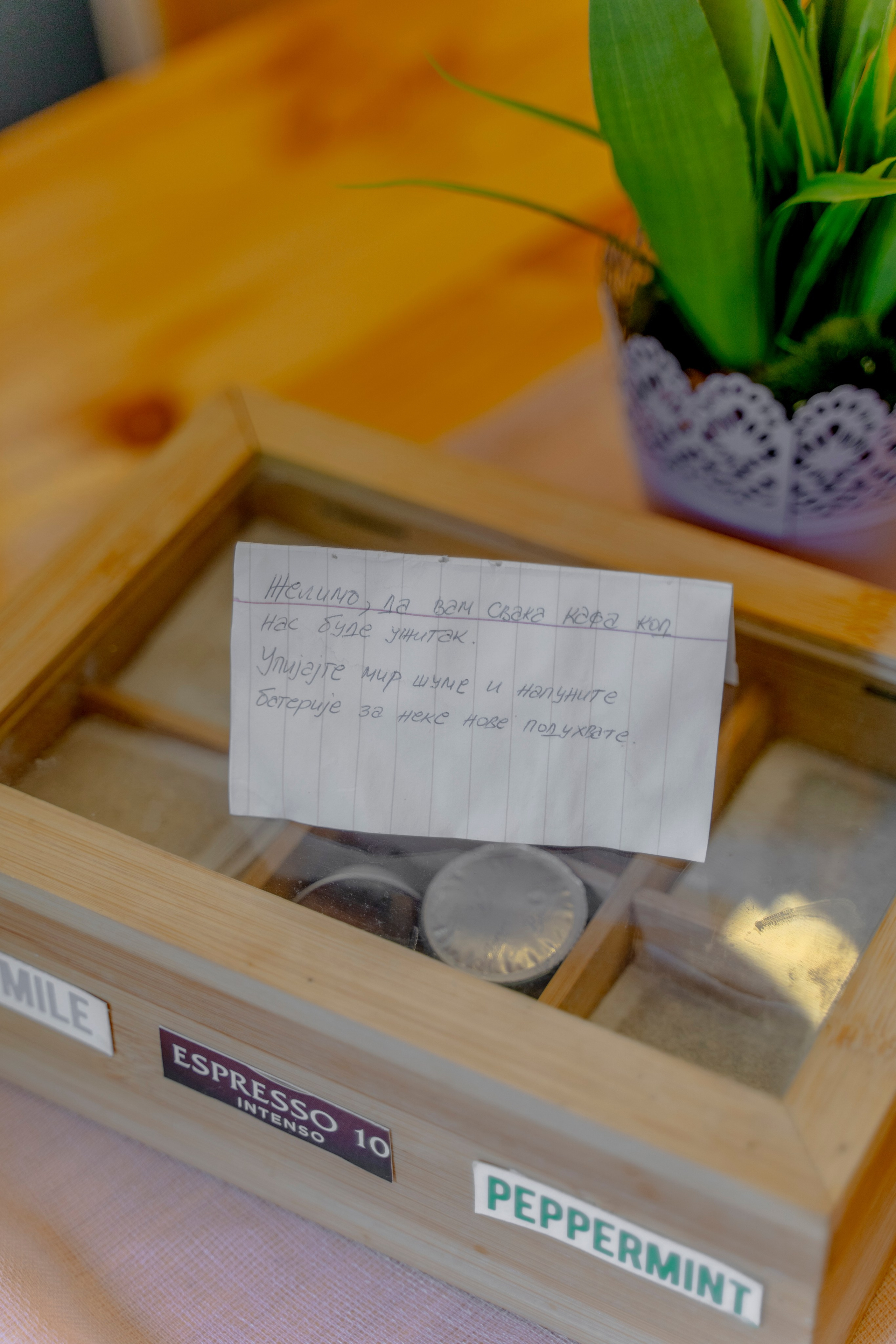 Viktorija Chalet. Photographer Liana Sudets Serbia Kopaonik Brzece Brus