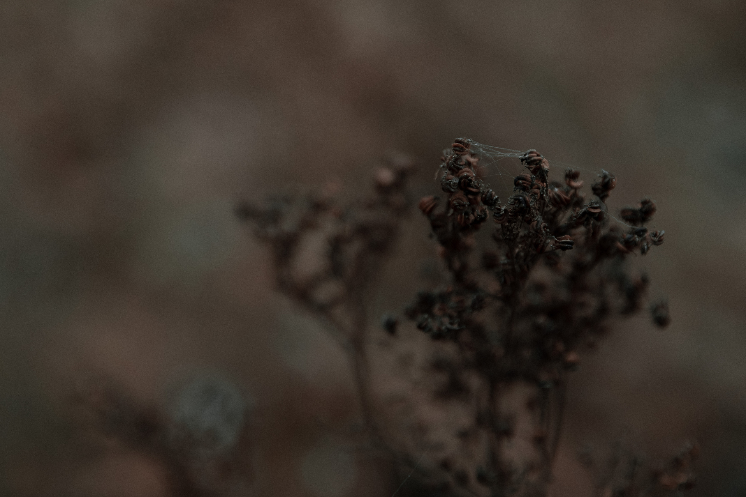 Dark arts. Уральский фотограф