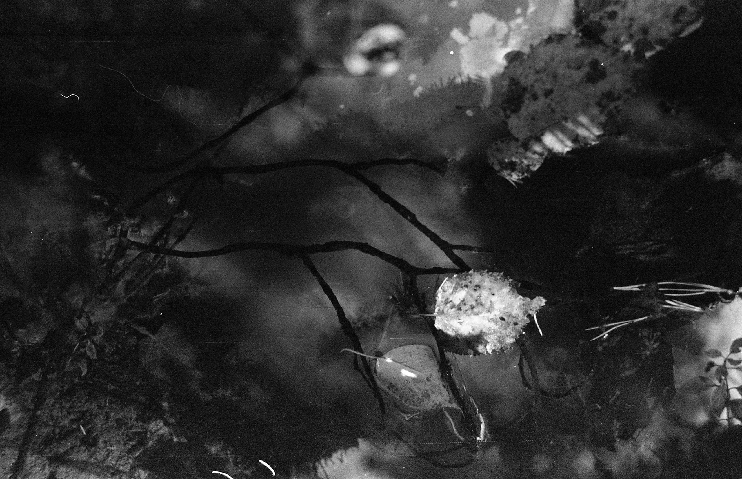 Dark arts. Уральский фотограф