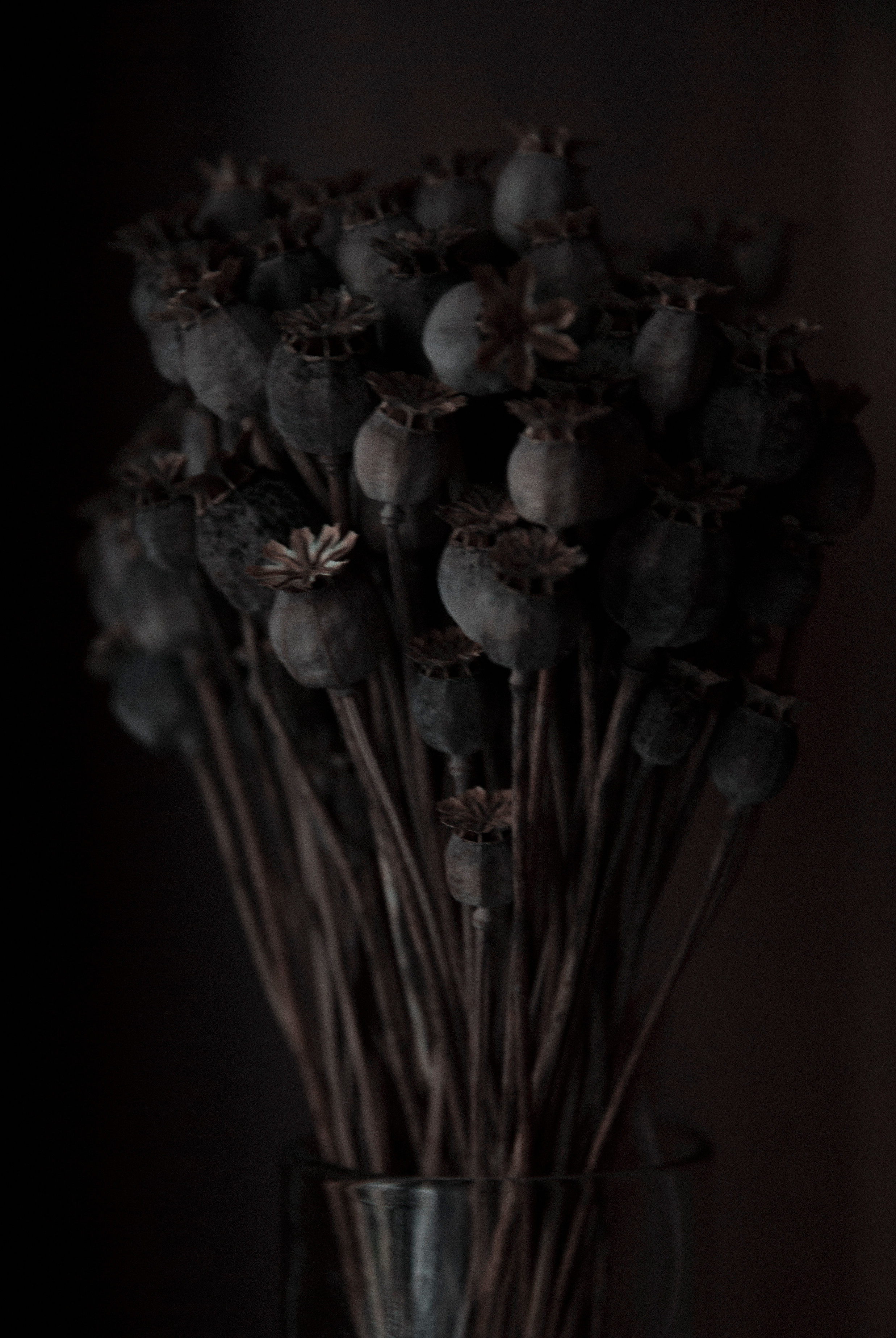 Dark arts. Уральский фотограф