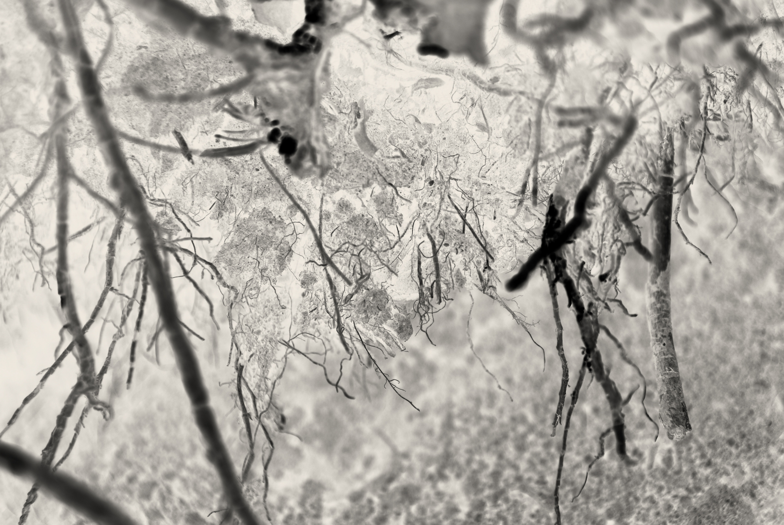 Dark arts. Уральский фотограф