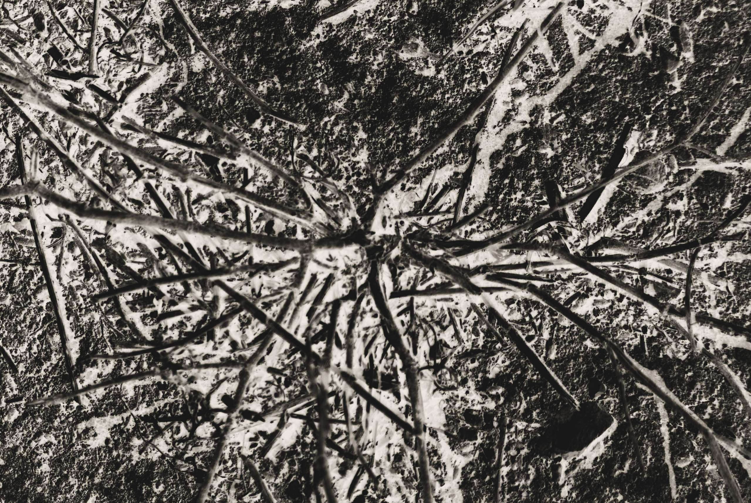 Dark arts. Уральский фотограф