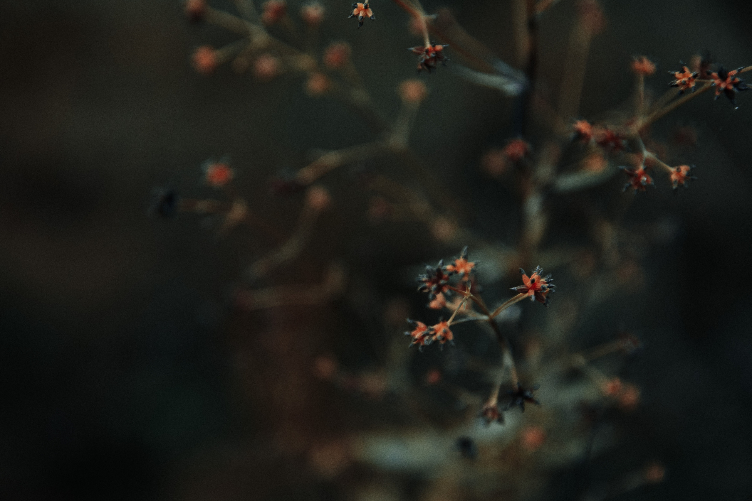 Dark arts. Уральский фотограф