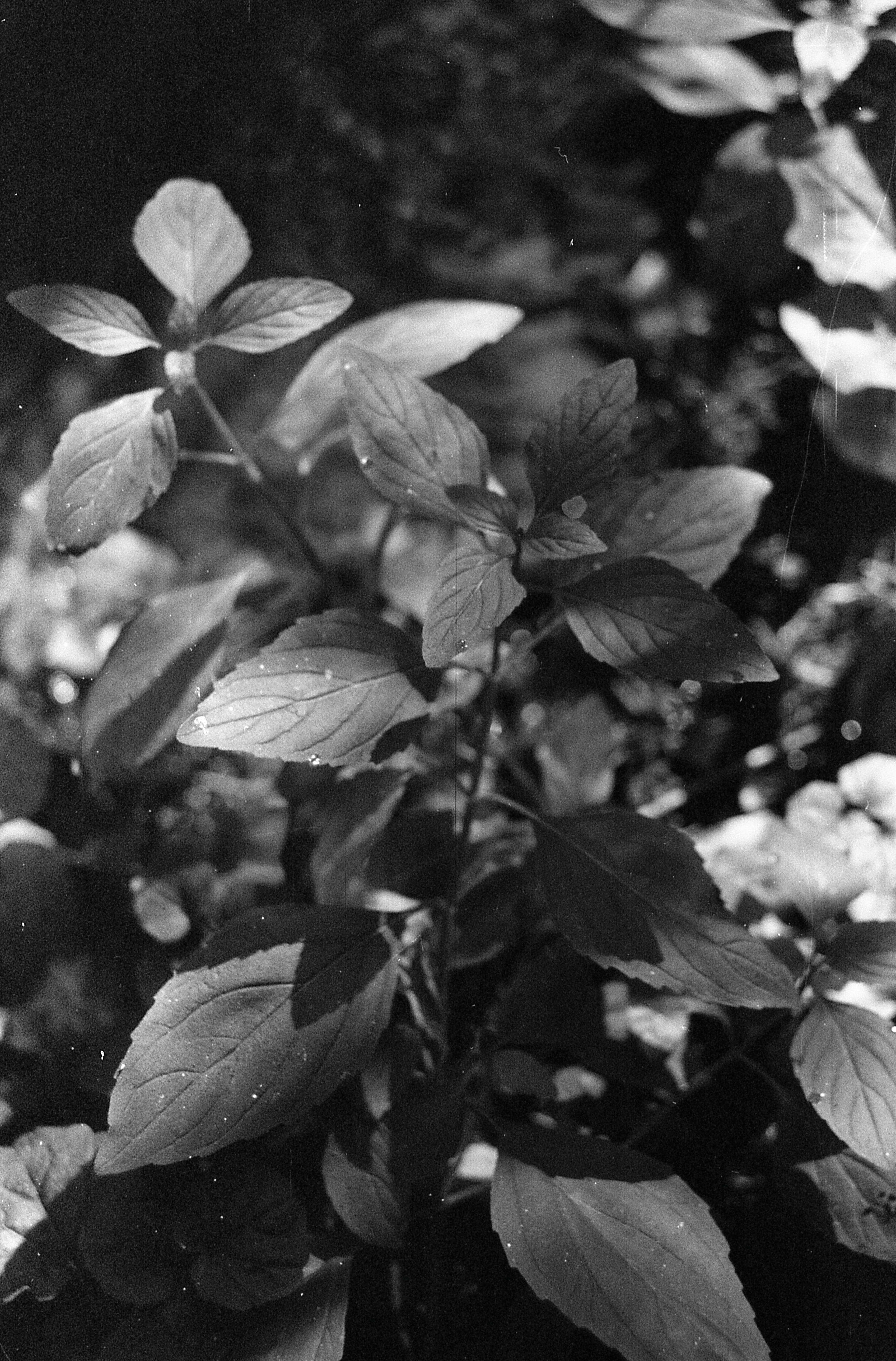 Dark arts. Уральский фотограф