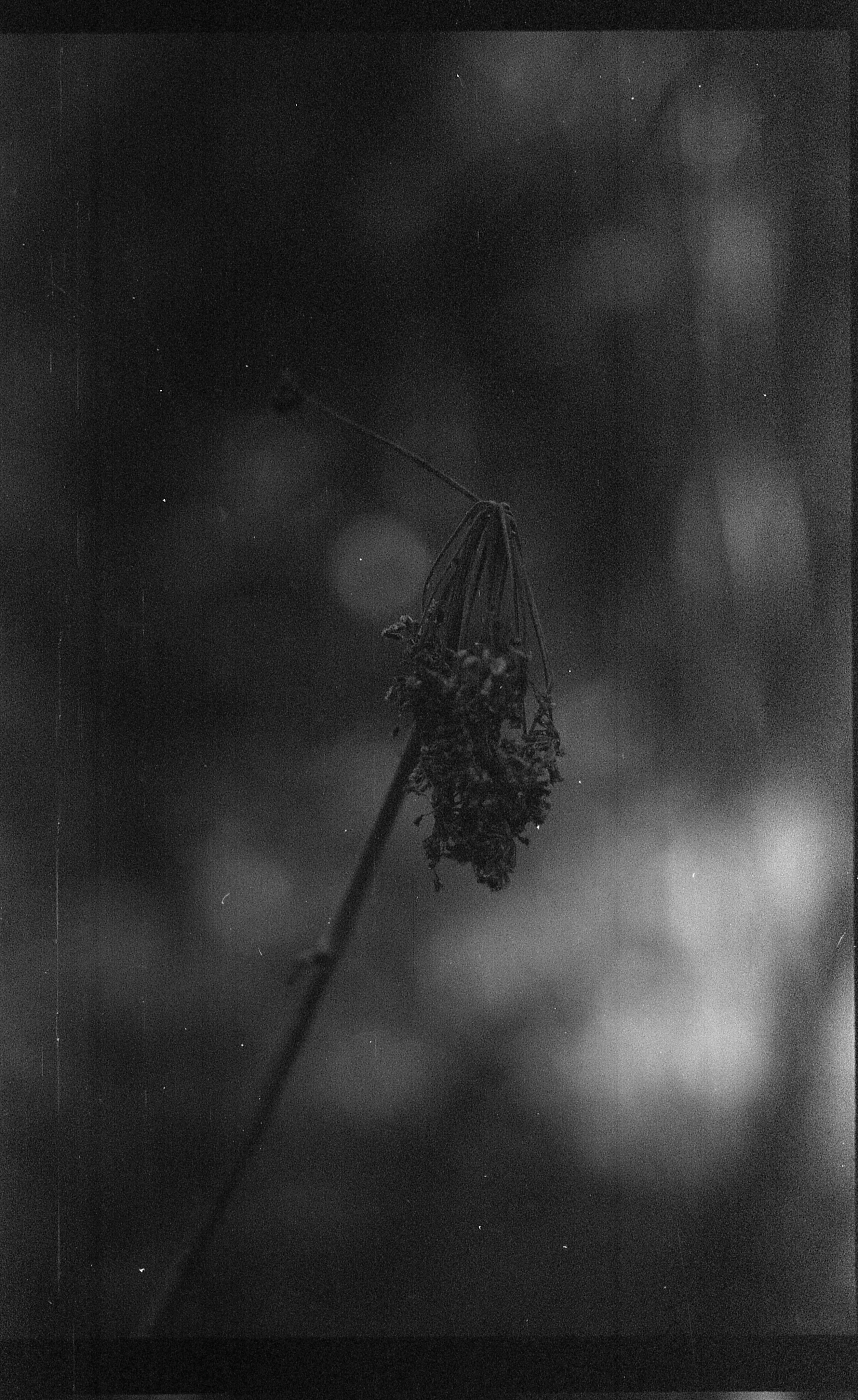 Dark arts. Уральский фотограф