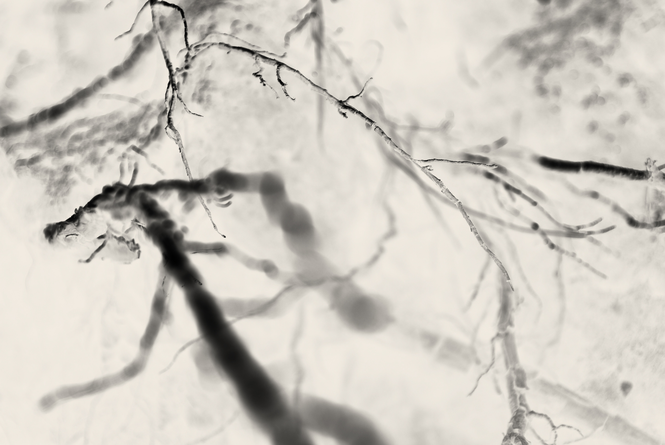 Dark arts. Уральский фотограф