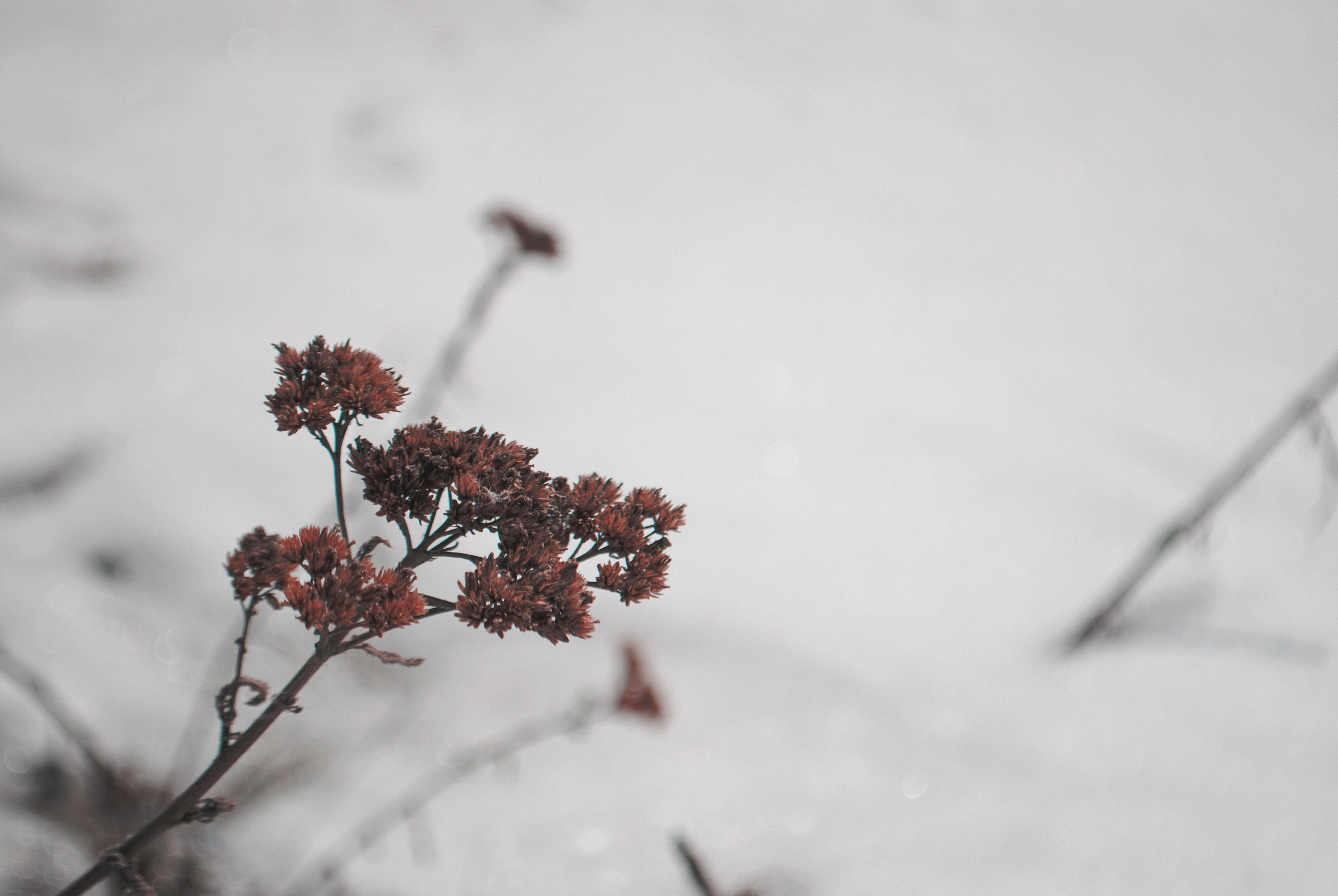 Dark arts. Уральский фотограф