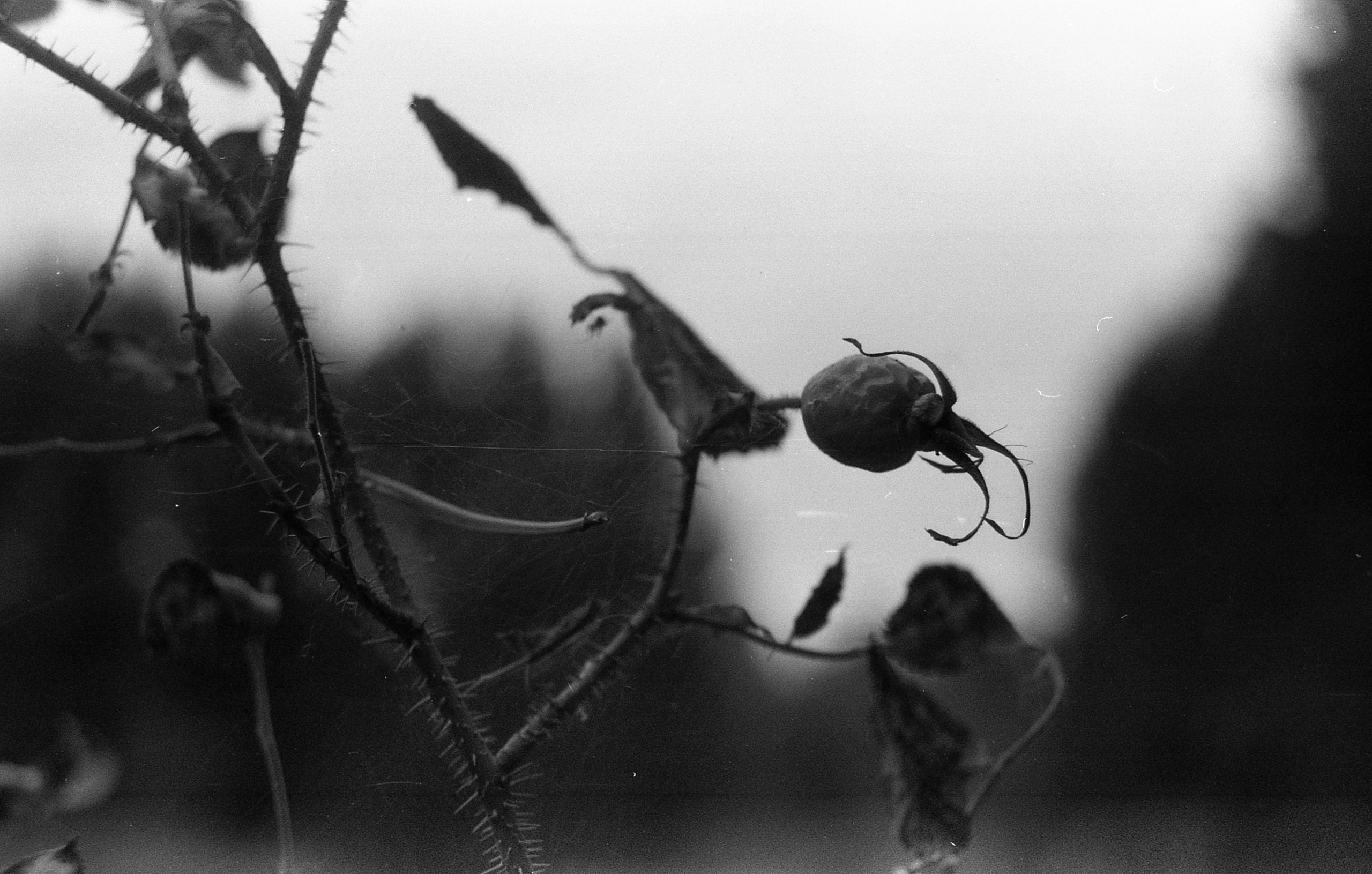 Dark arts. Уральский фотограф