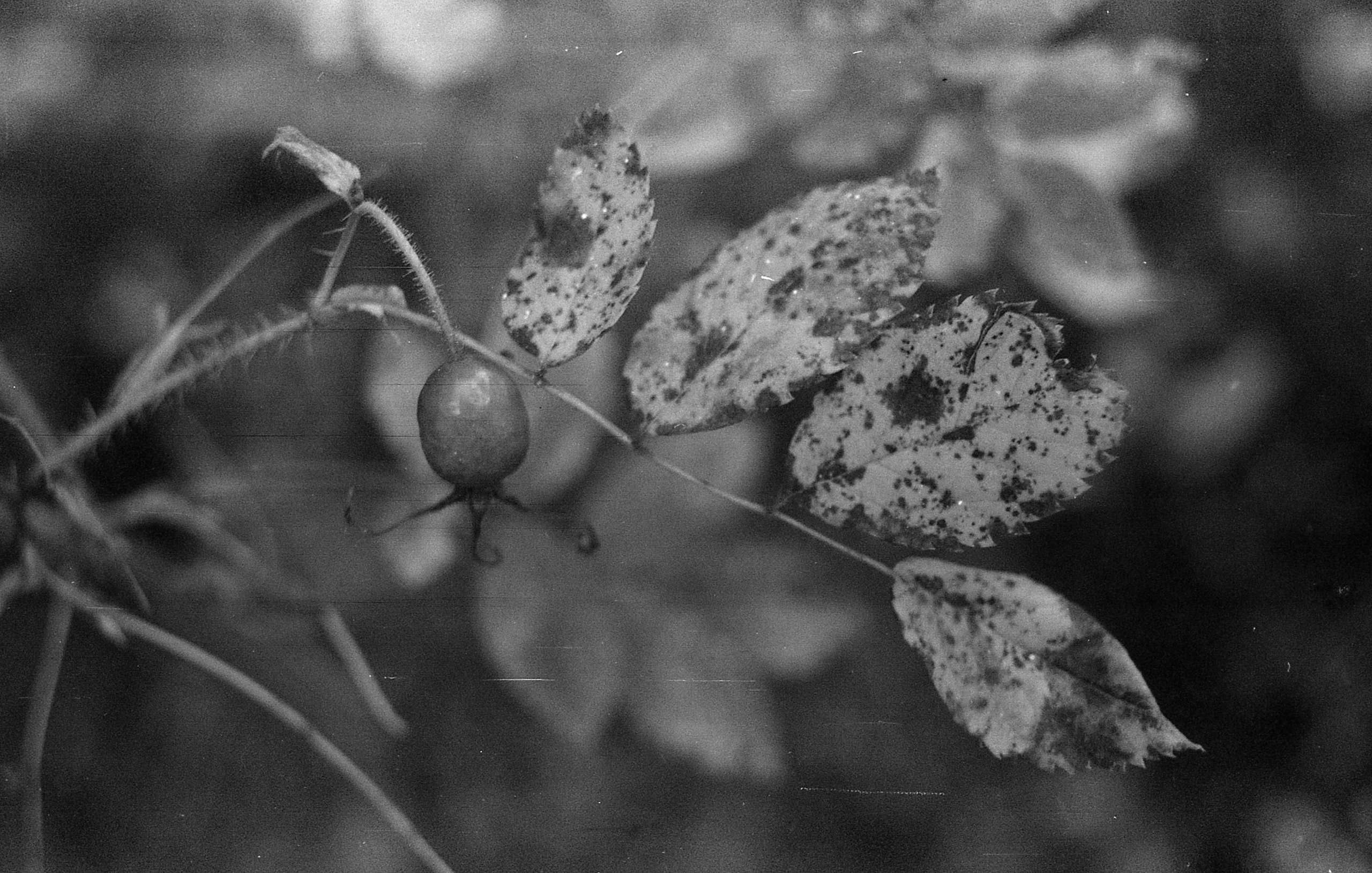 Dark arts. Уральский фотограф