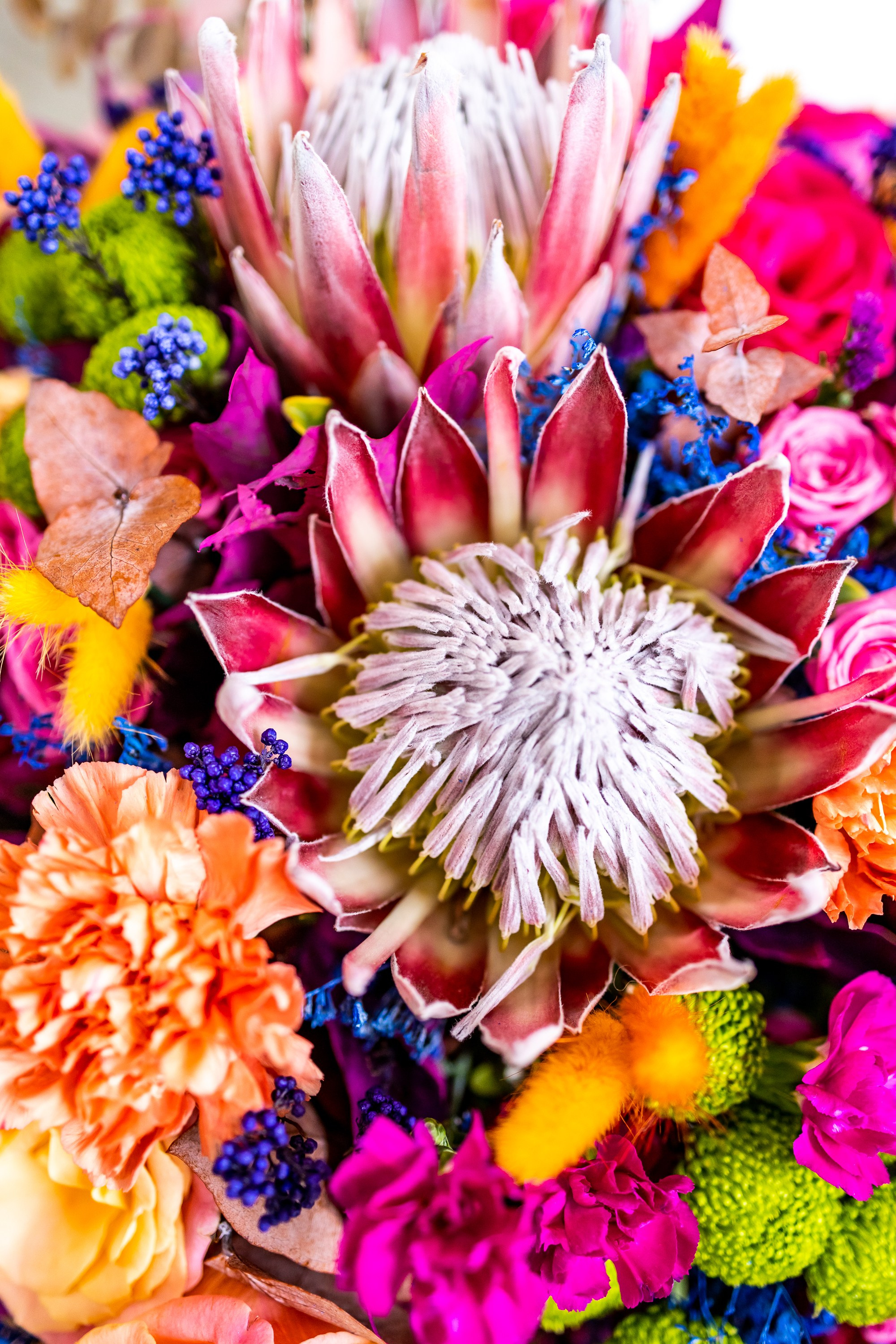 Цветы-Экспо 2024. Фотосессии и репортаж — Фотограф в Москве — Рина Серёгина