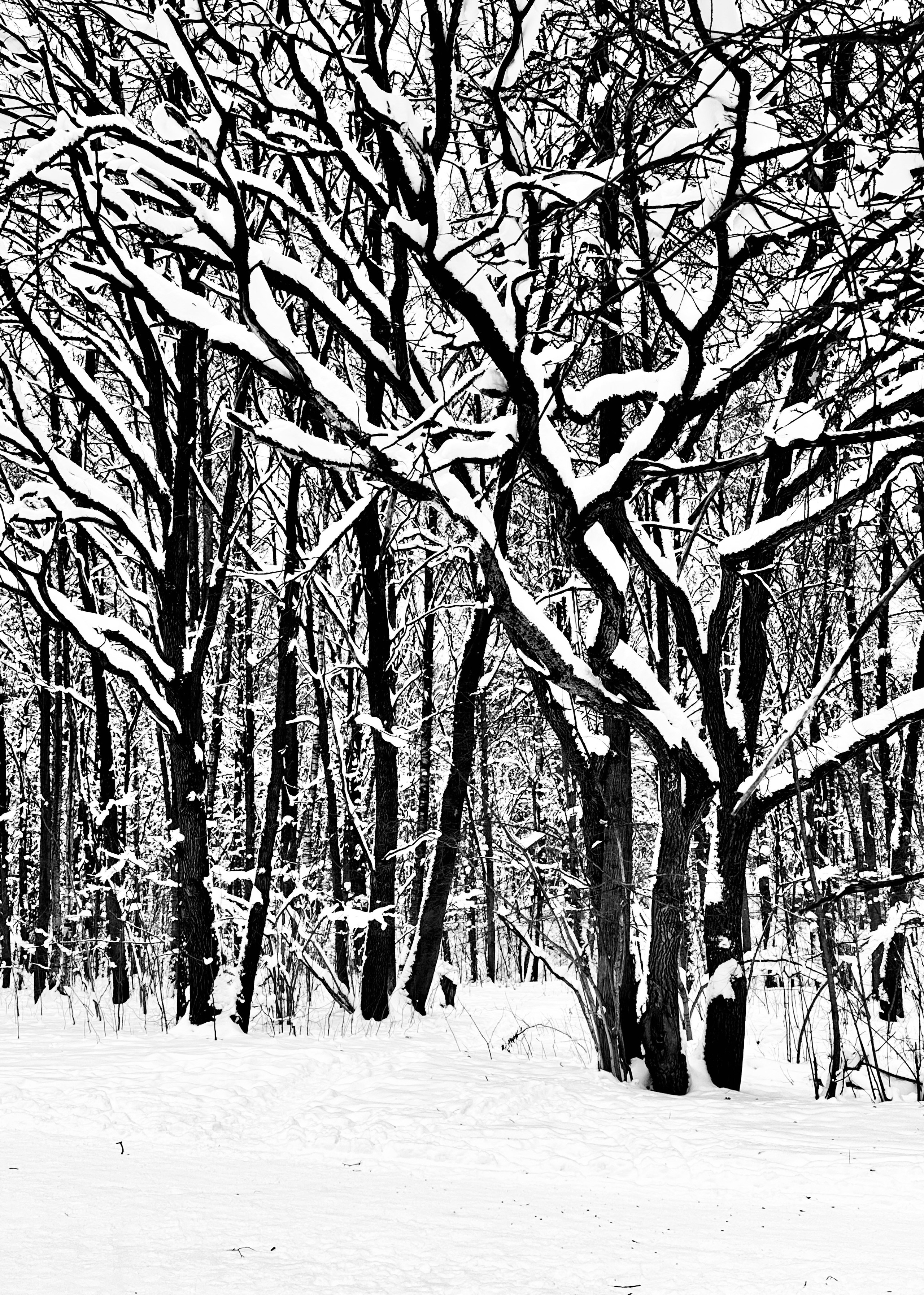 Чёрно-белая зима 25-26. Фотосессии и репортаж — Фотограф в Москве — Рина Серёгина
