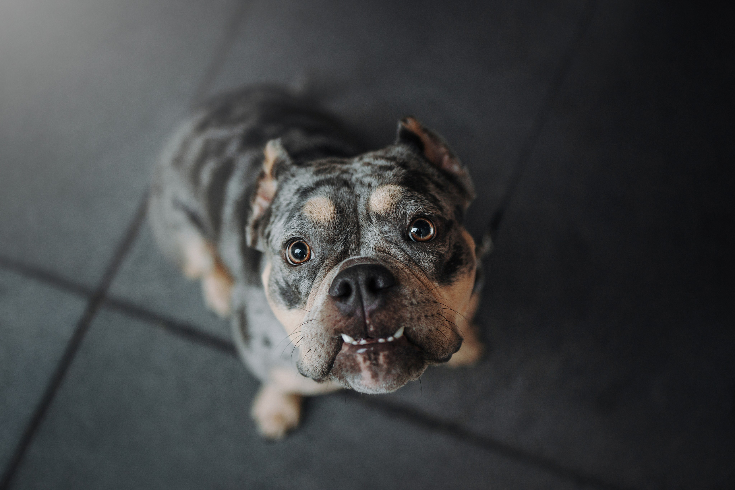 Лера и ее булочки. Фотограф — Анималист | Санкт-Петербург